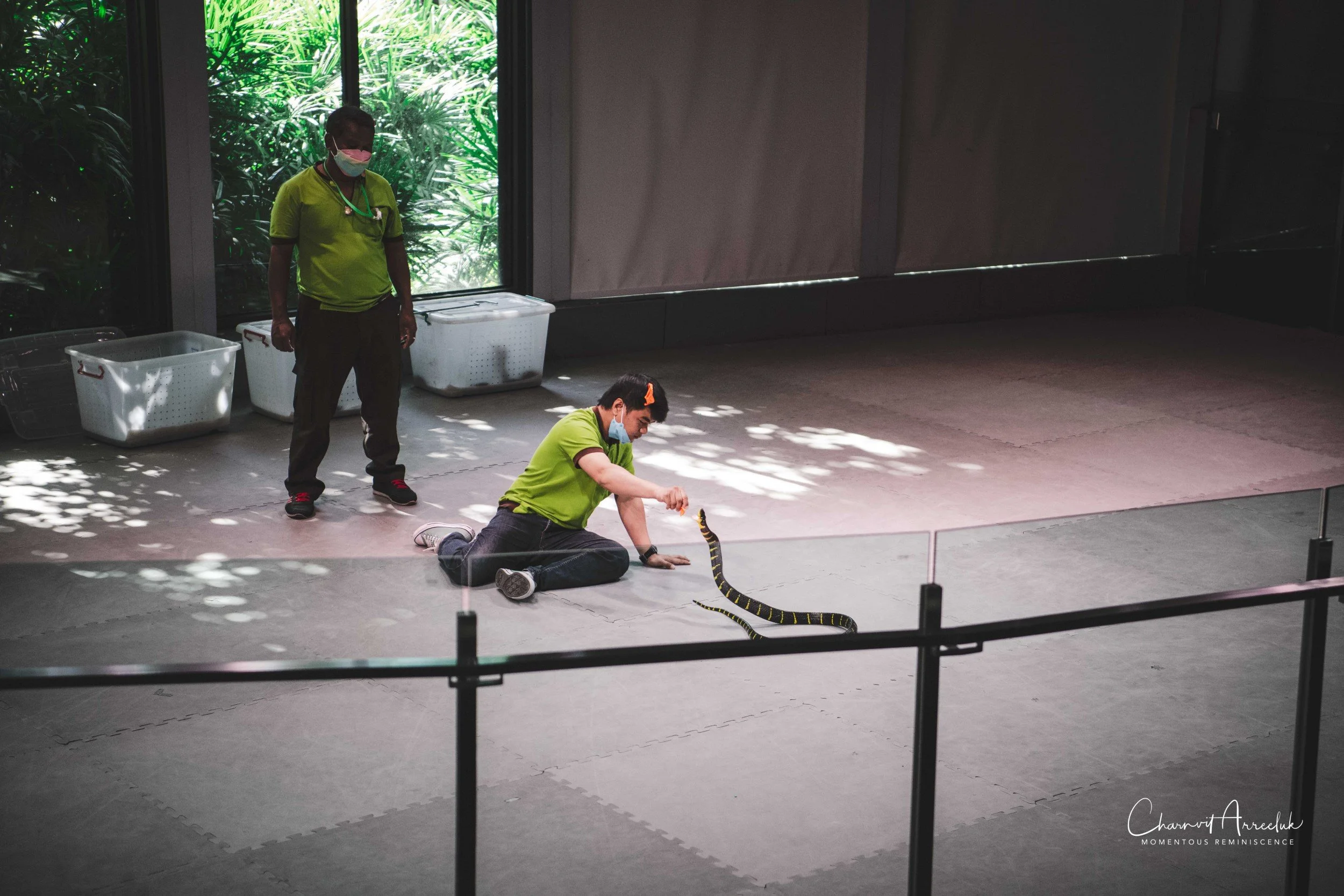 2021-12-11 - Siam Serpentarium-37 (Squarespace).jpg