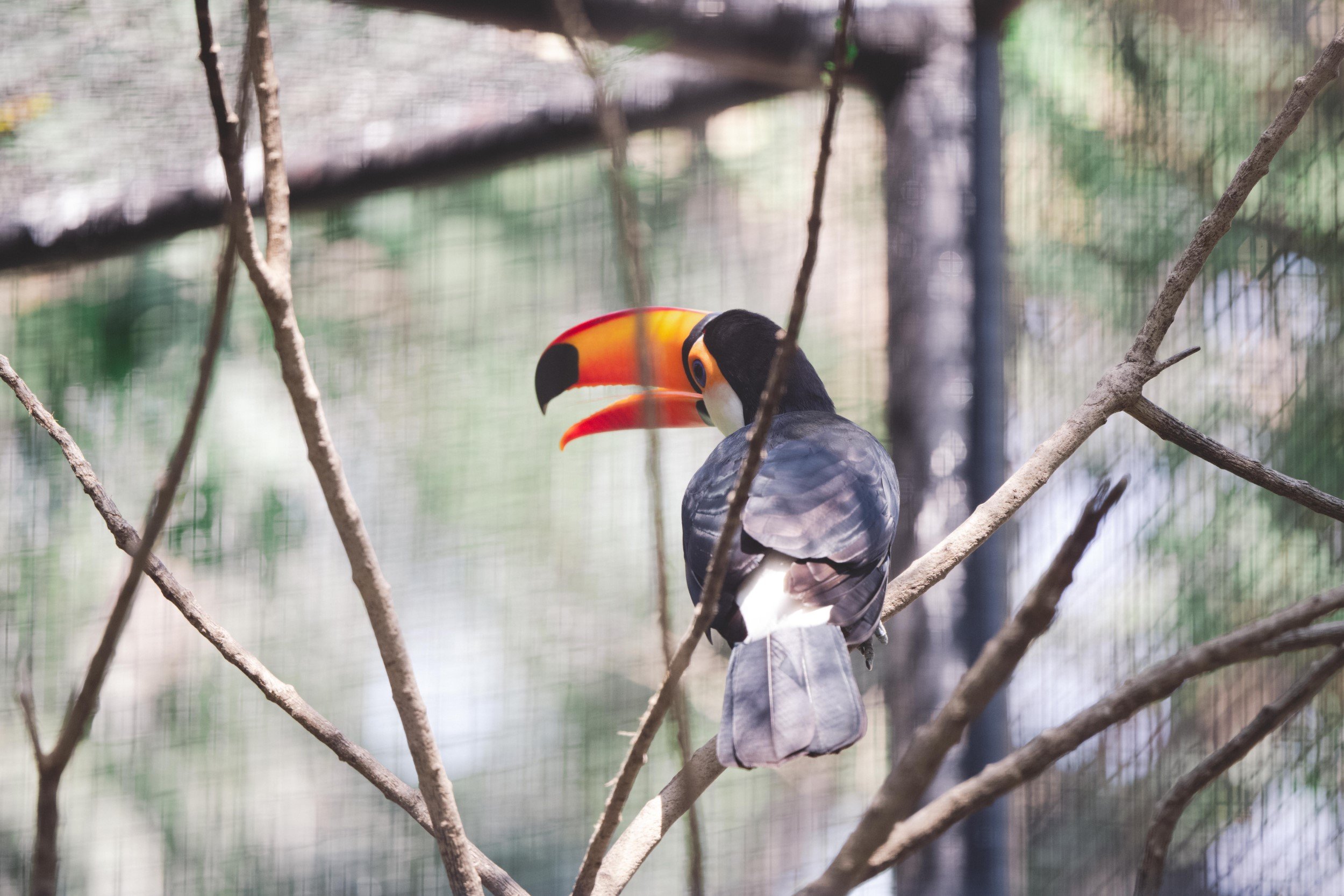 2022-01-15 - Rex Safari World (12) (Squarespace).jpg