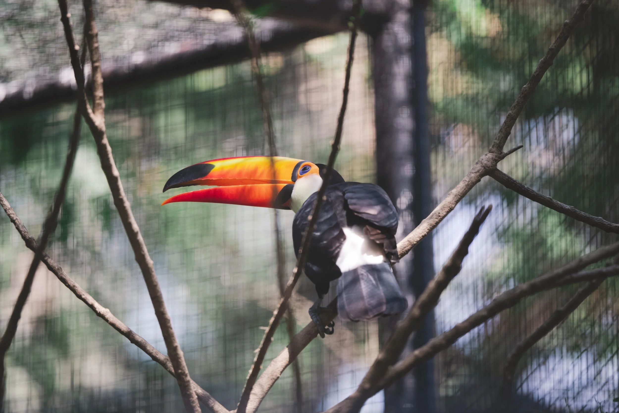 2022-01-15 - Rex Safari World (13) (Squarespace).jpg