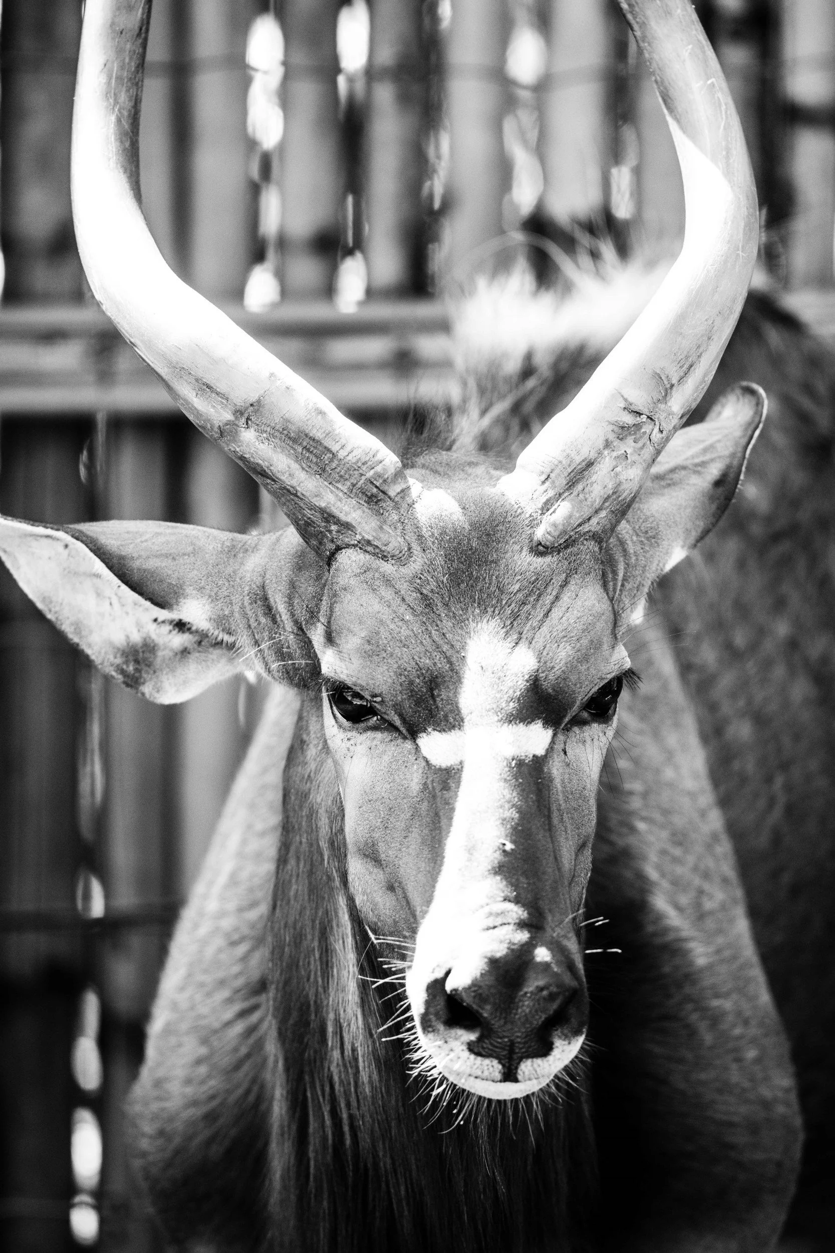 2022-01-15 - Rex Safari World (30) (Squarespace).jpg
