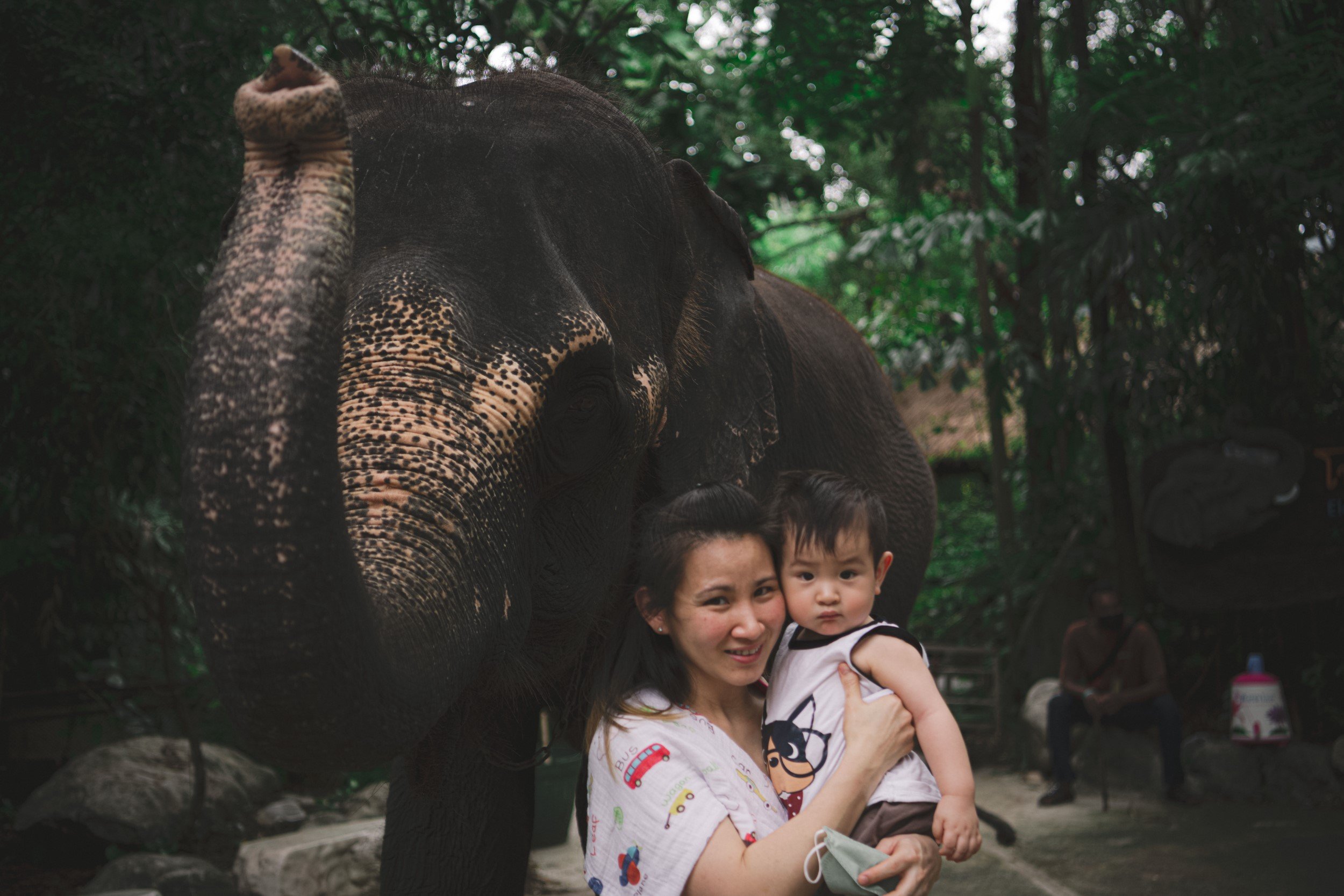 2022-05-21 - Dog Cafe and Safari World-53 (Squarespace).JPG
