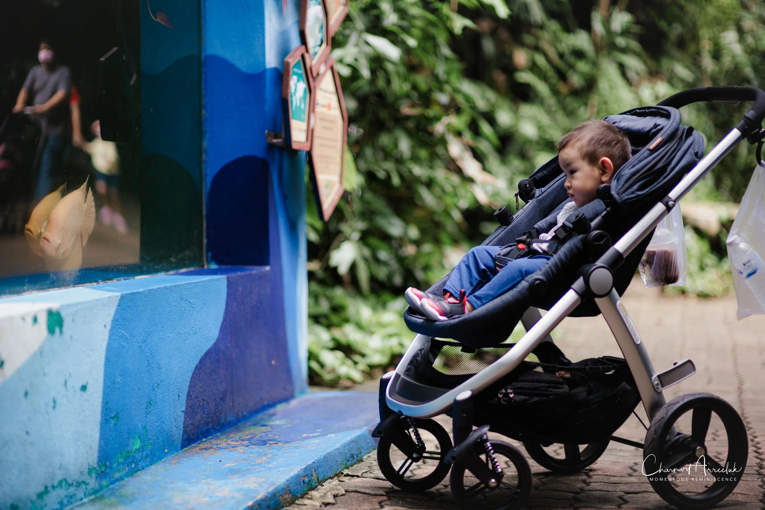 2022-10-15 - Safari World-11 (Squarespace).JPG