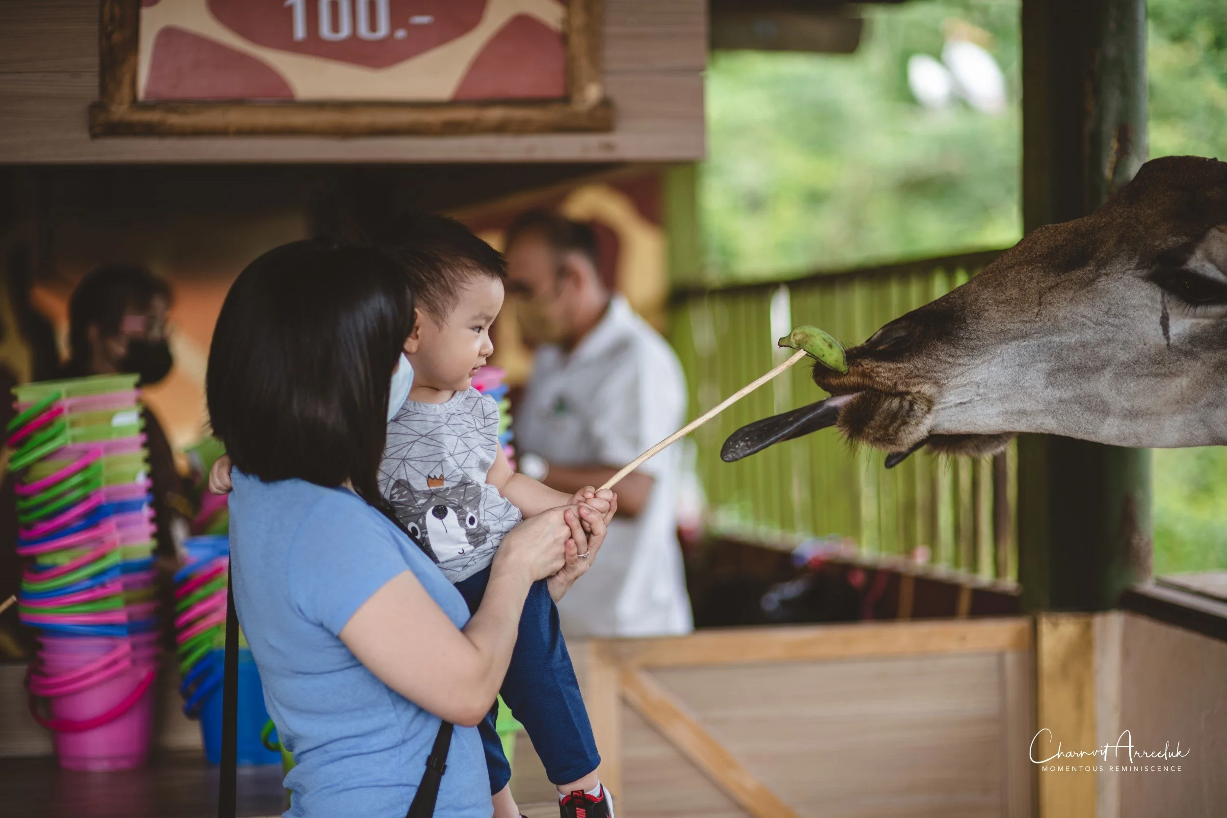 2022-10-15 - Safari World-13 (Squarespace).JPG