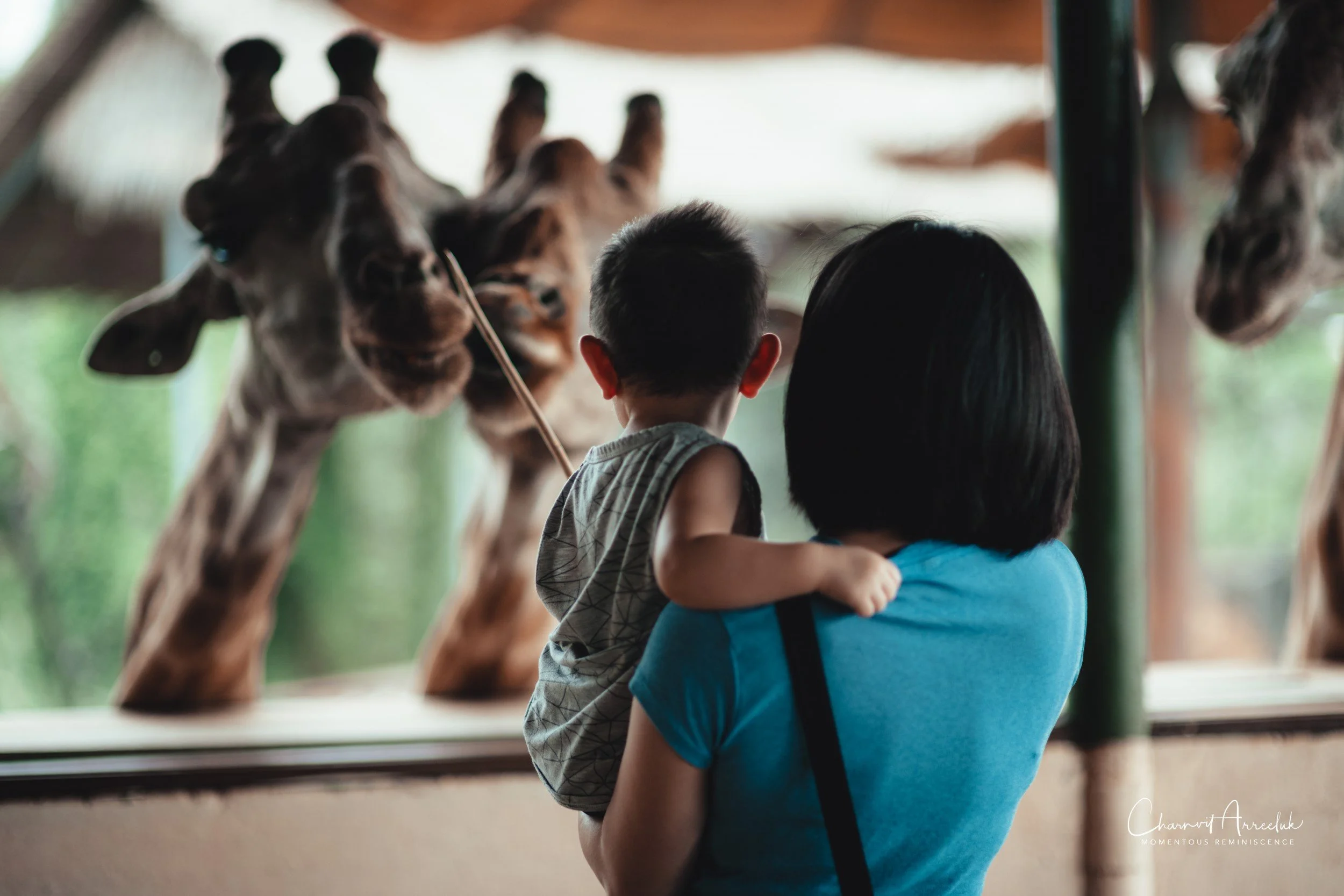2022-10-15 - Safari World-14 (Squarespace).JPG
