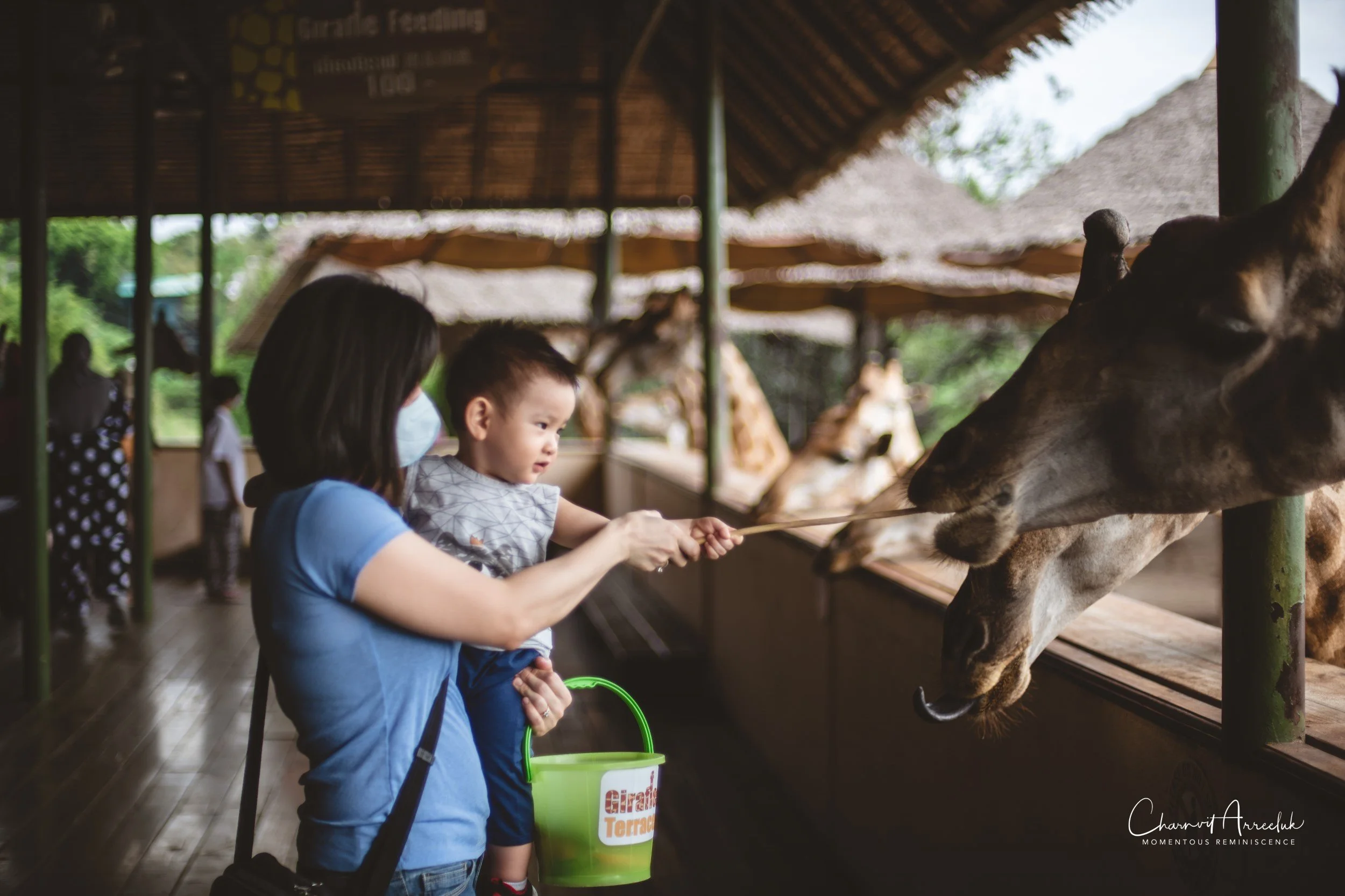 2022-10-15 - Safari World-15 (Squarespace).JPG