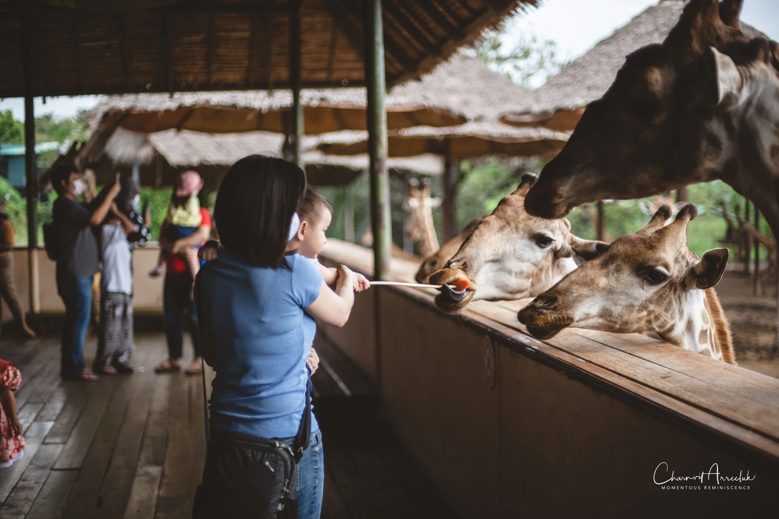 2022-10-15 - Safari World-16 (Squarespace).JPG