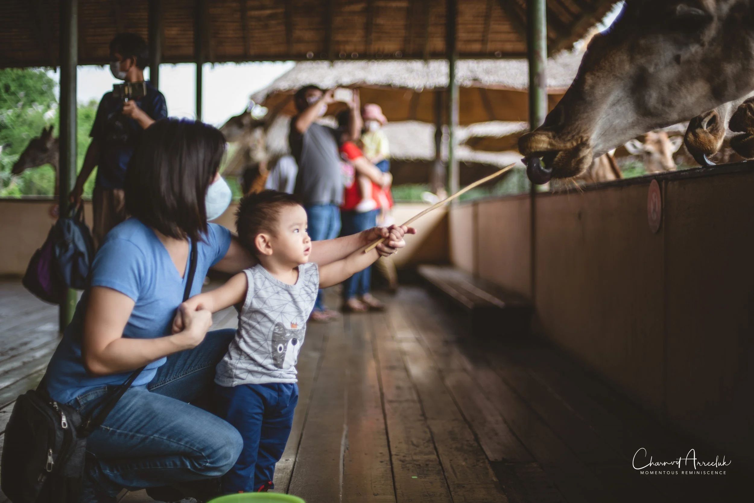 2022-10-15 - Safari World-17 (Squarespace).JPG