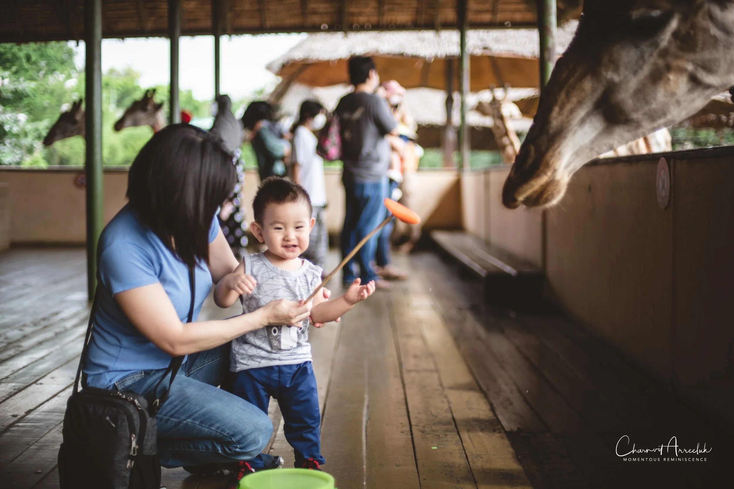 2022-10-15 - Safari World-18 (Squarespace).JPG