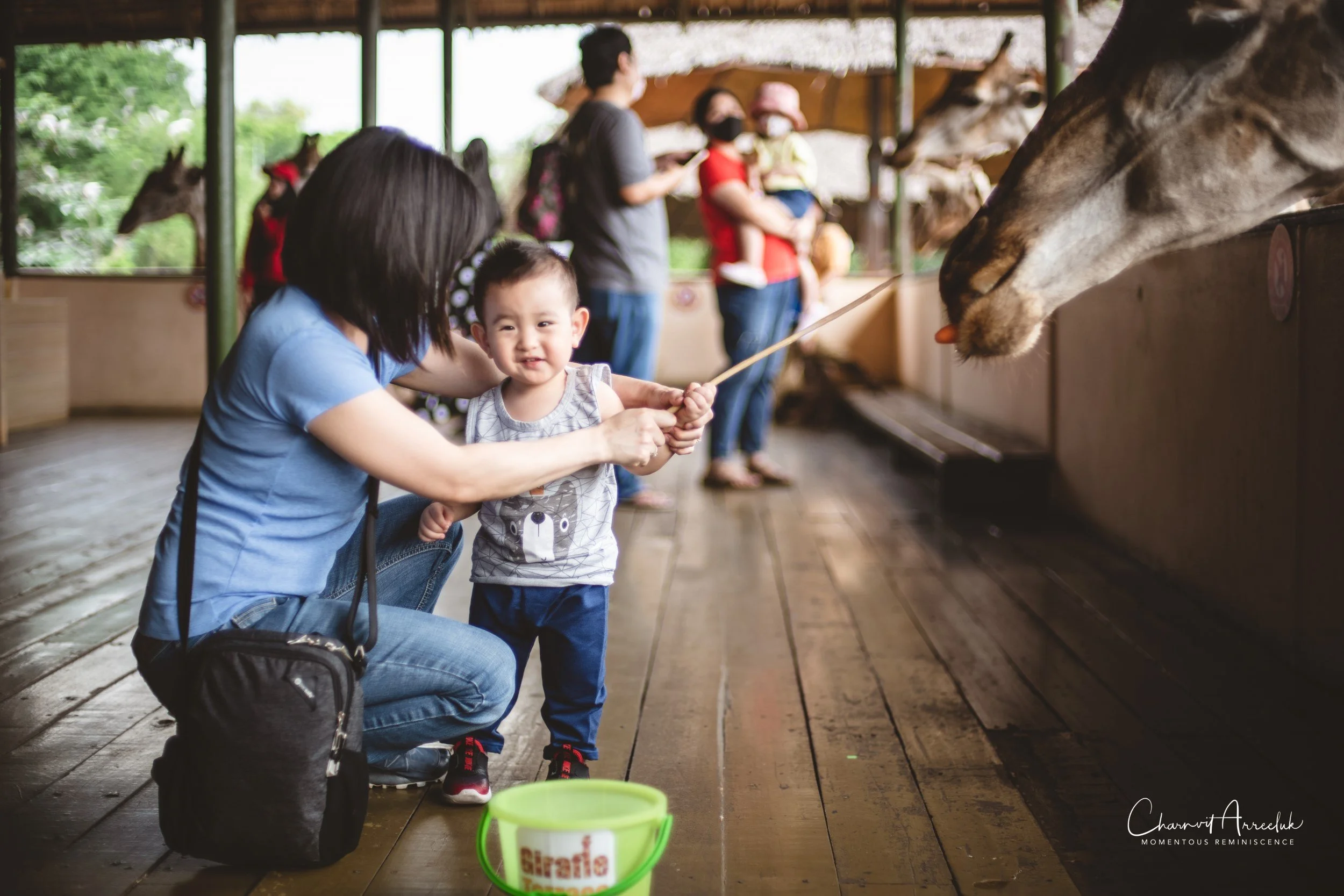 2022-10-15 - Safari World-19 (Squarespace).JPG