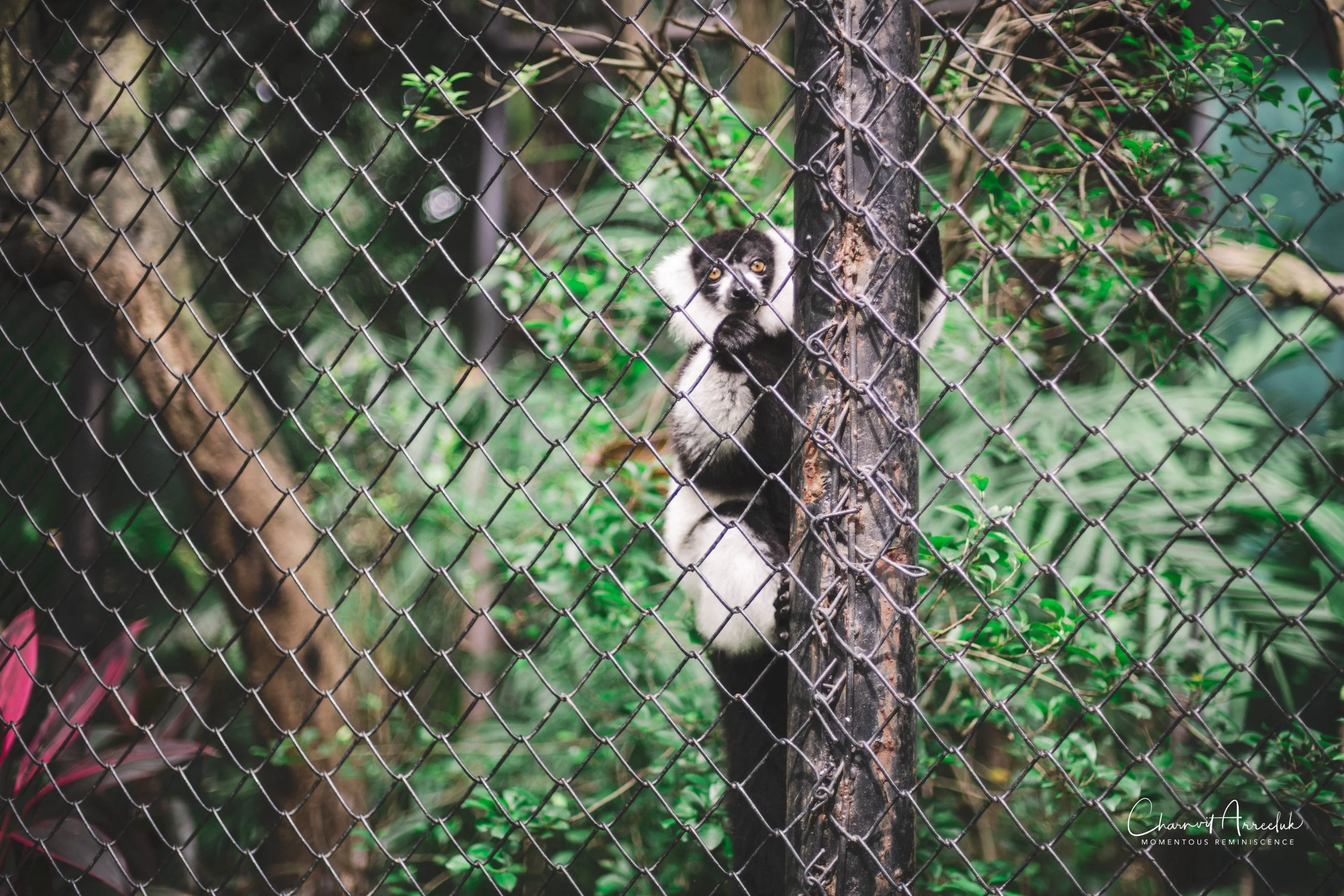 2022-10-15 - Safari World-21 (Squarespace).JPG