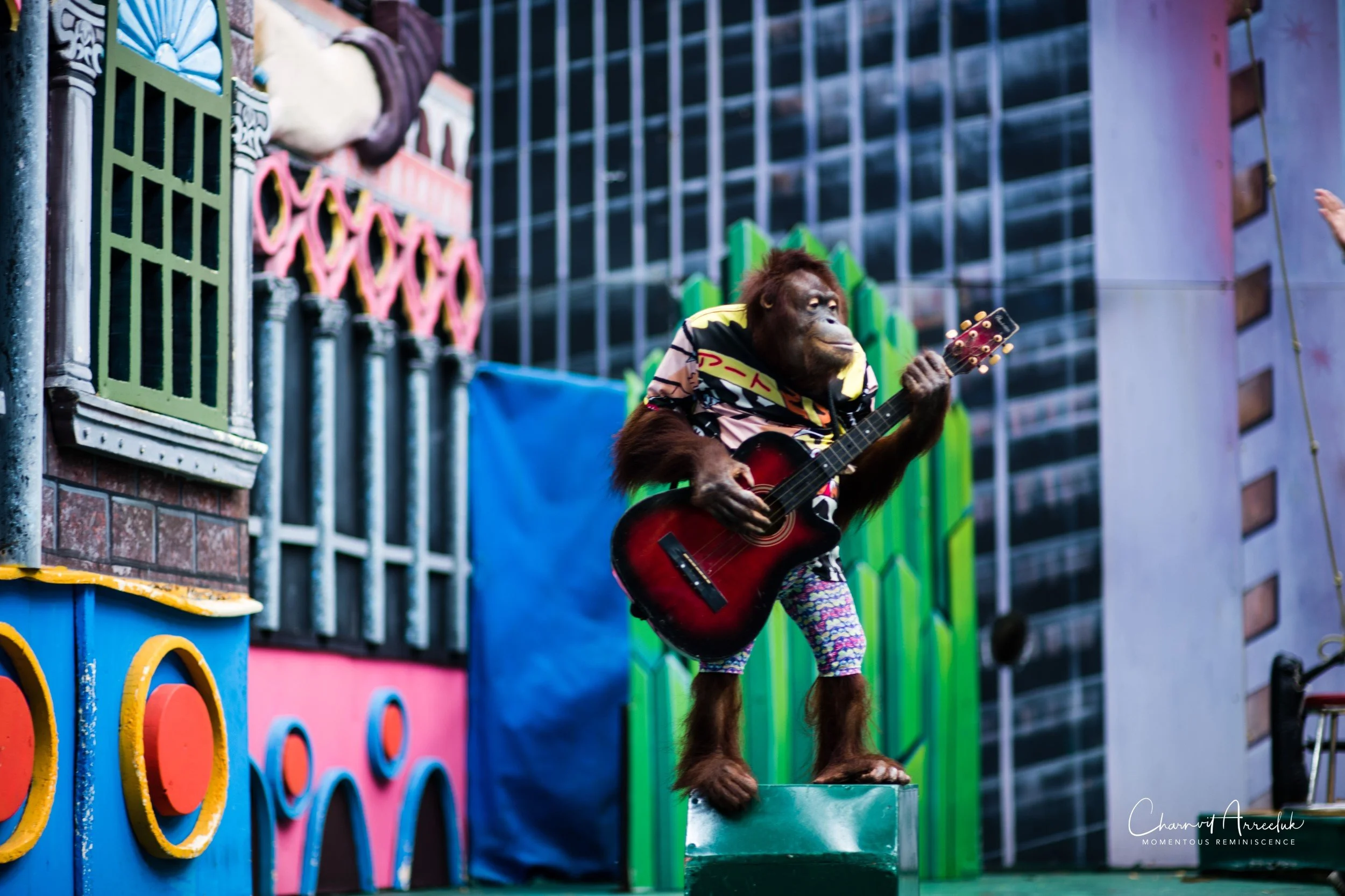 2022-10-15 - Safari World-24 (Squarespace).JPG