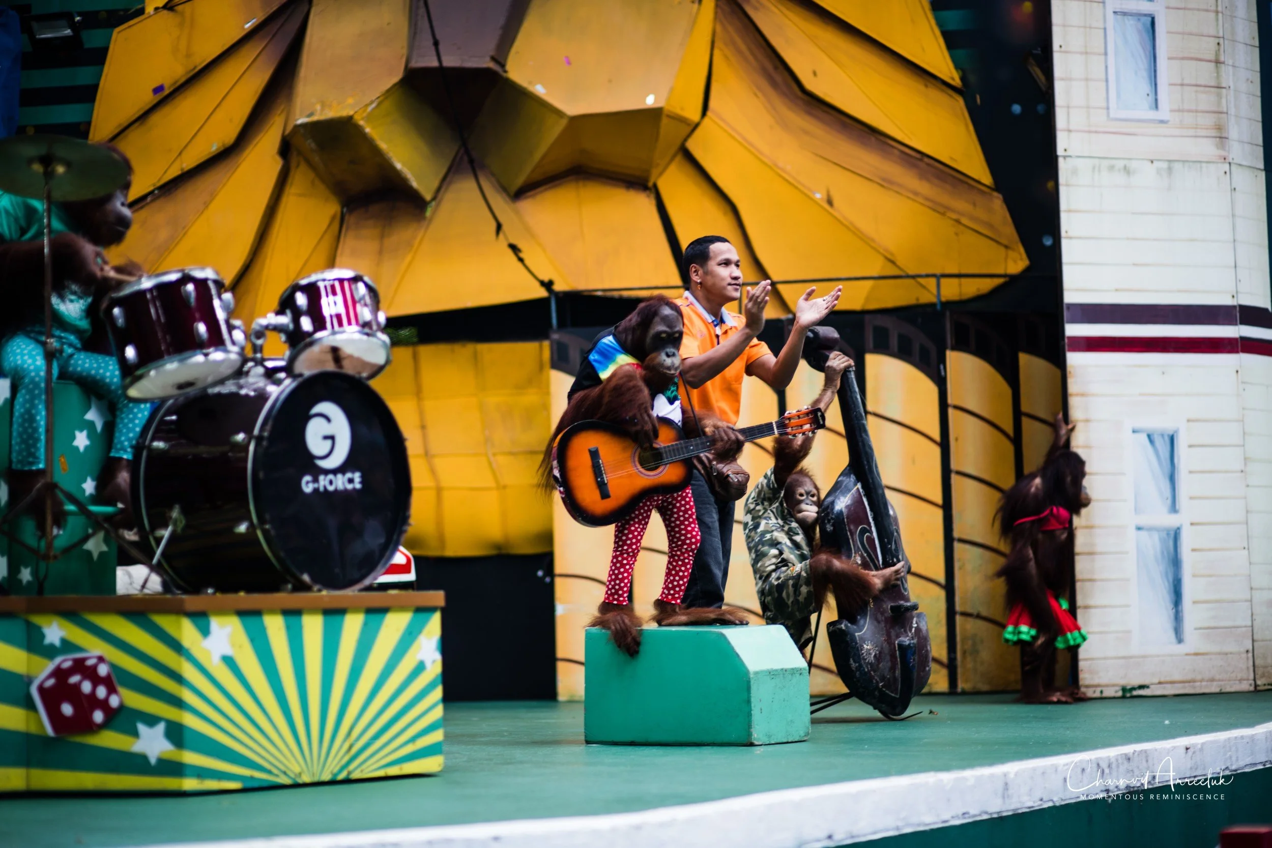 2022-10-15 - Safari World-25 (Squarespace).JPG