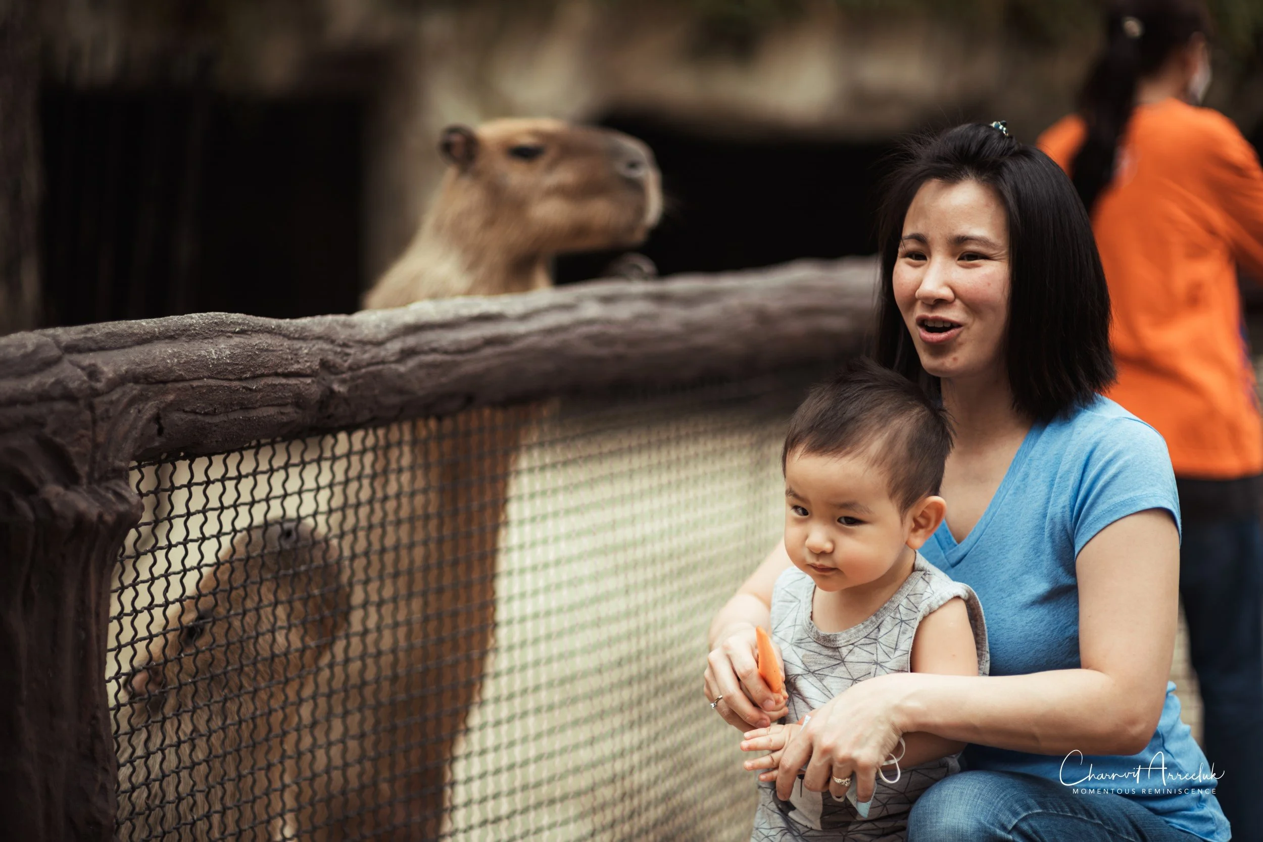 2022-10-15 - Safari World-26 (Squarespace).JPG