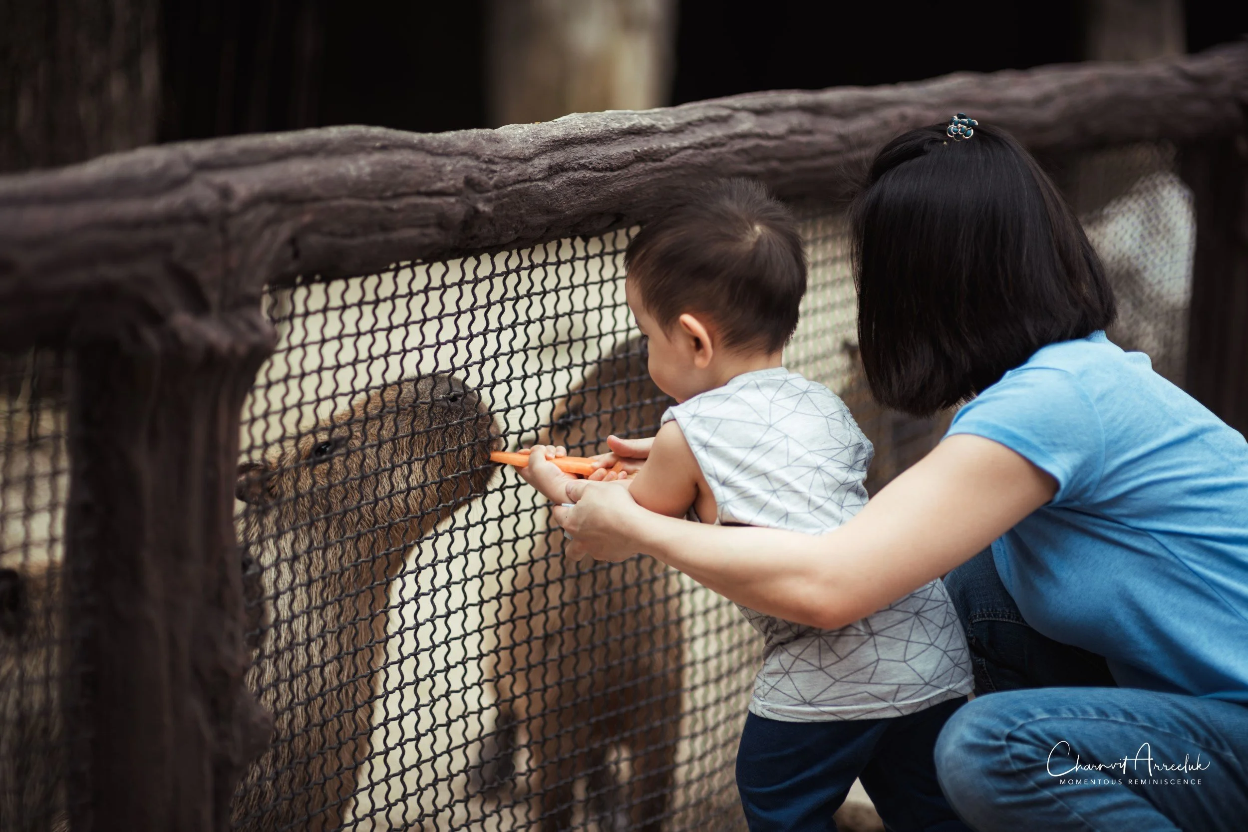 2022-10-15 - Safari World-27 (Squarespace).JPG