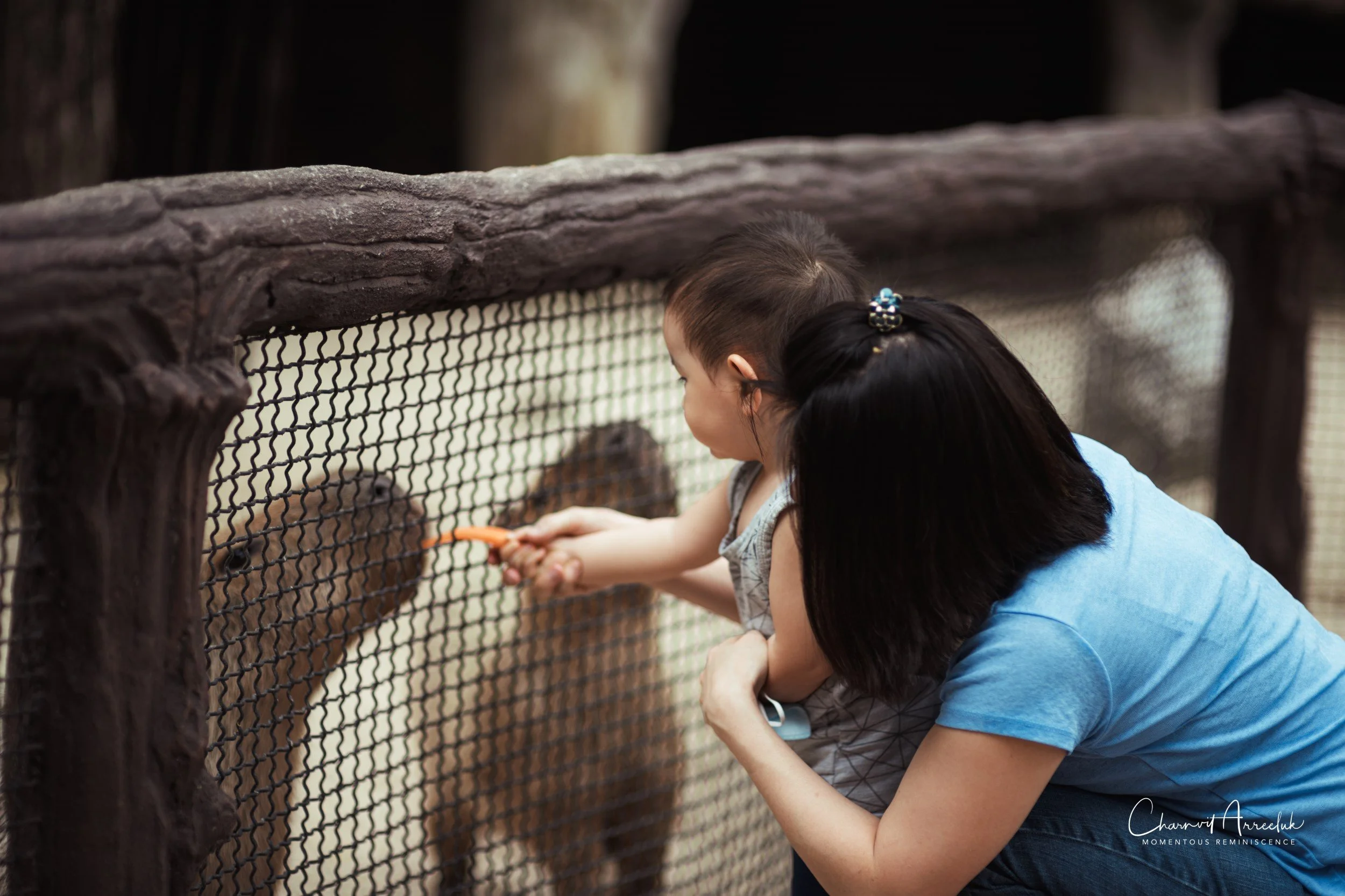 2022-10-15 - Safari World-28 (Squarespace).JPG