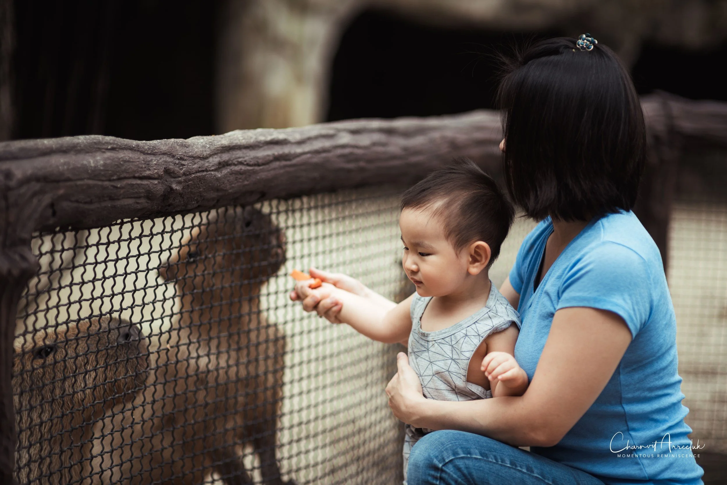 2022-10-15 - Safari World-29 (Squarespace).JPG