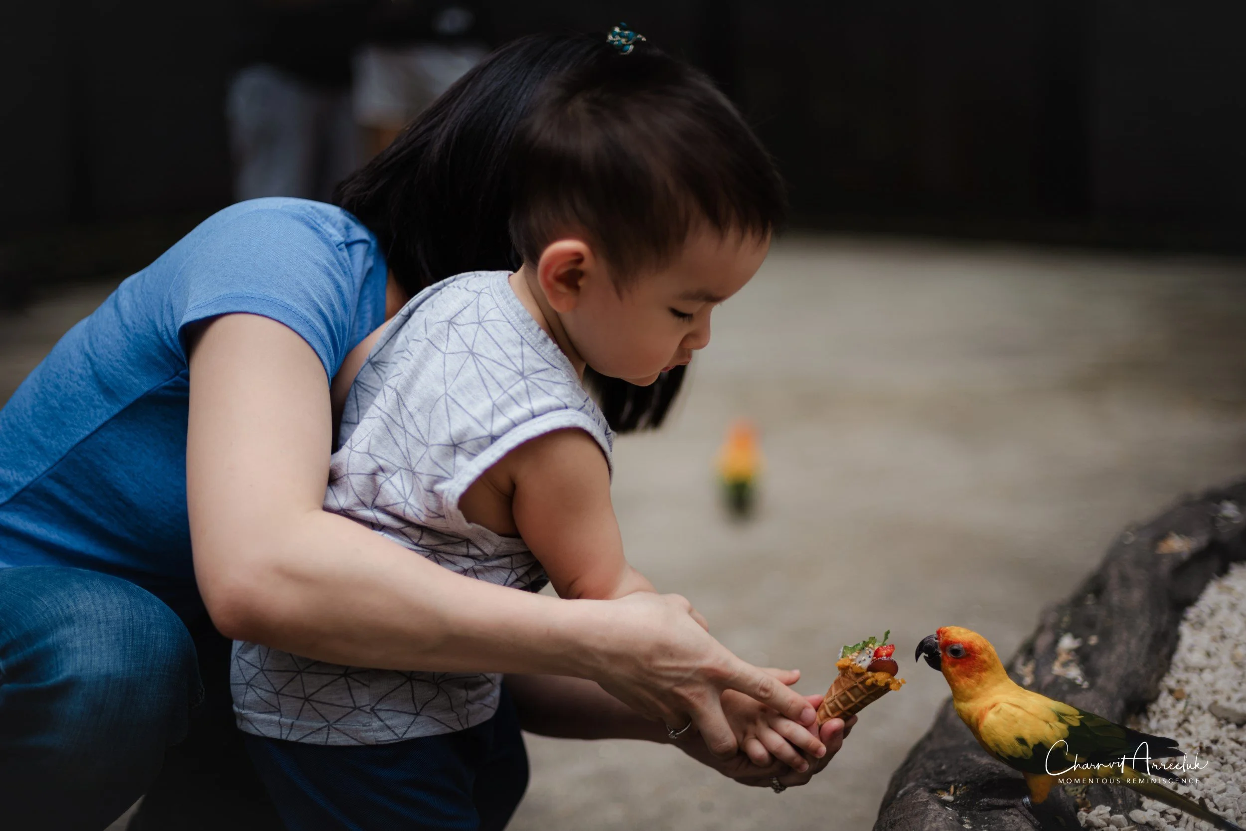 2022-10-15 - Safari World-33 (Squarespace).JPG