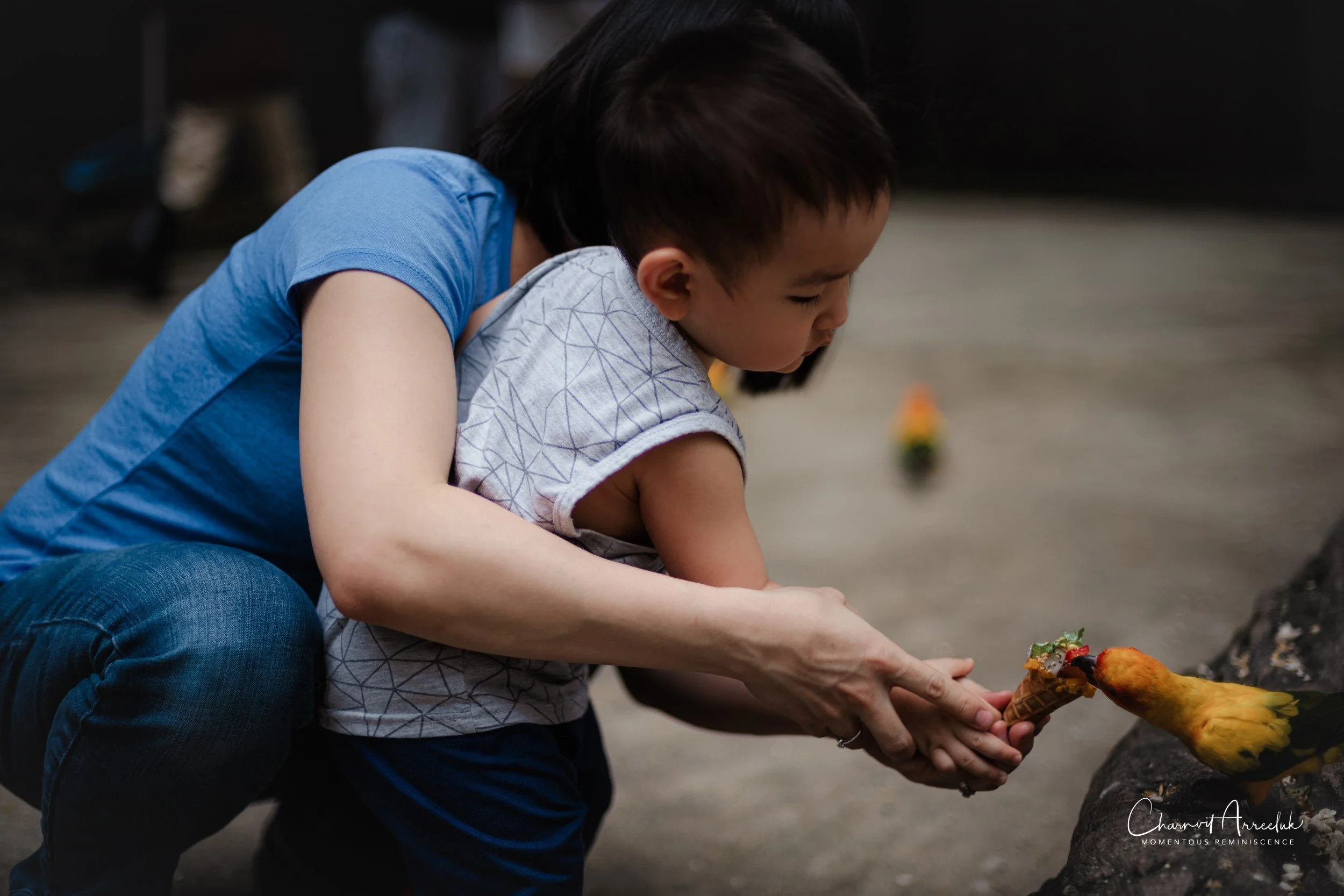 2022-10-15 - Safari World-34 (Squarespace).JPG