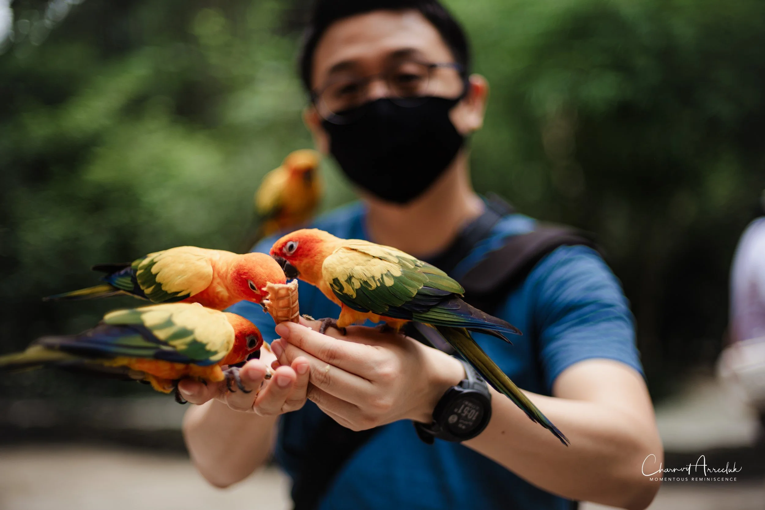 2022-10-15 - Safari World-49 (Squarespace).JPG