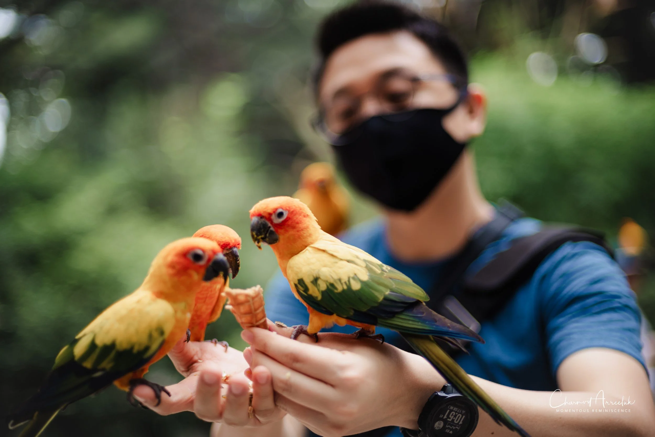 2022-10-15 - Safari World-50 (Squarespace).JPG