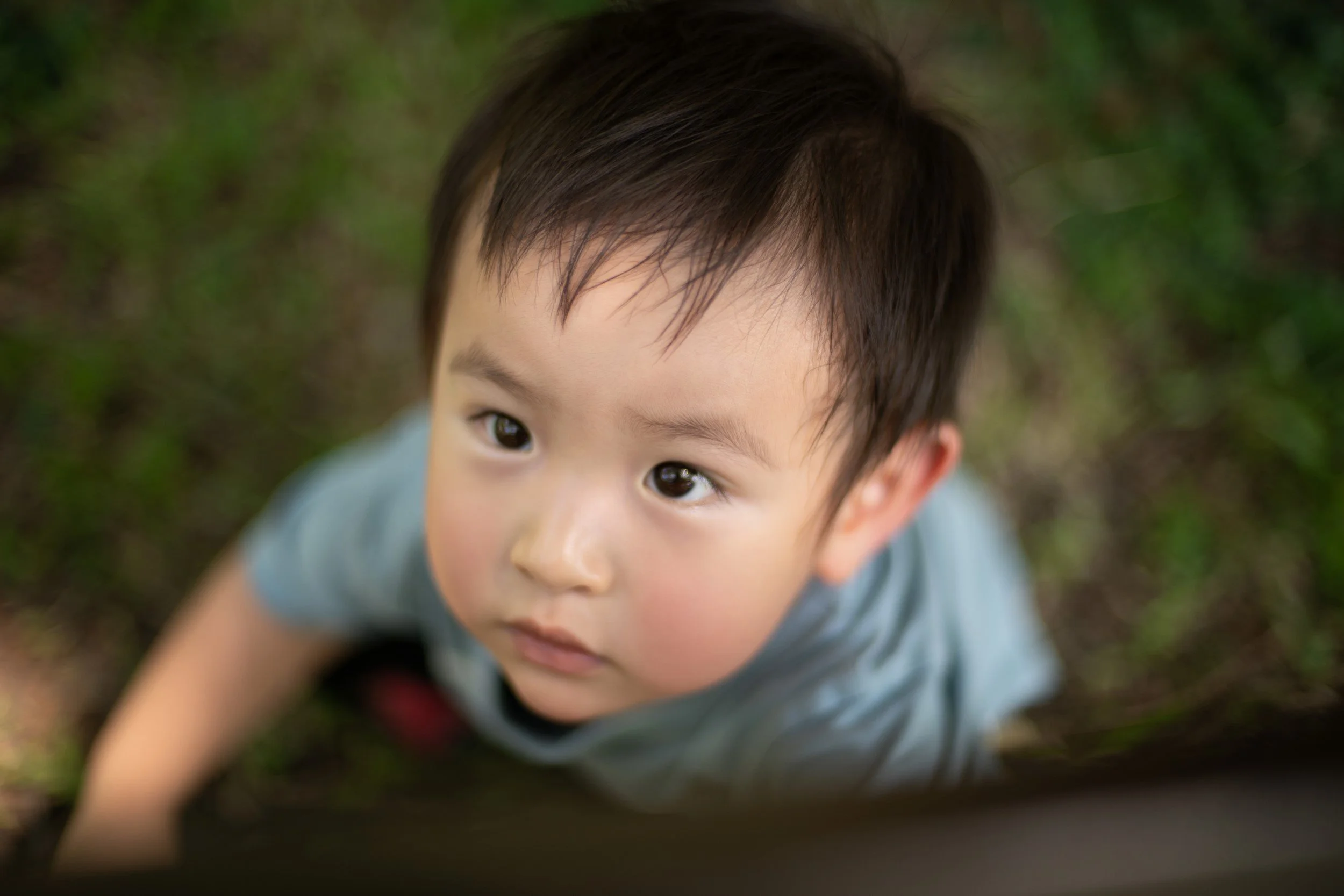 2023-05-06 - Rama IX Park with Rex-12 (Squarespace).JPG