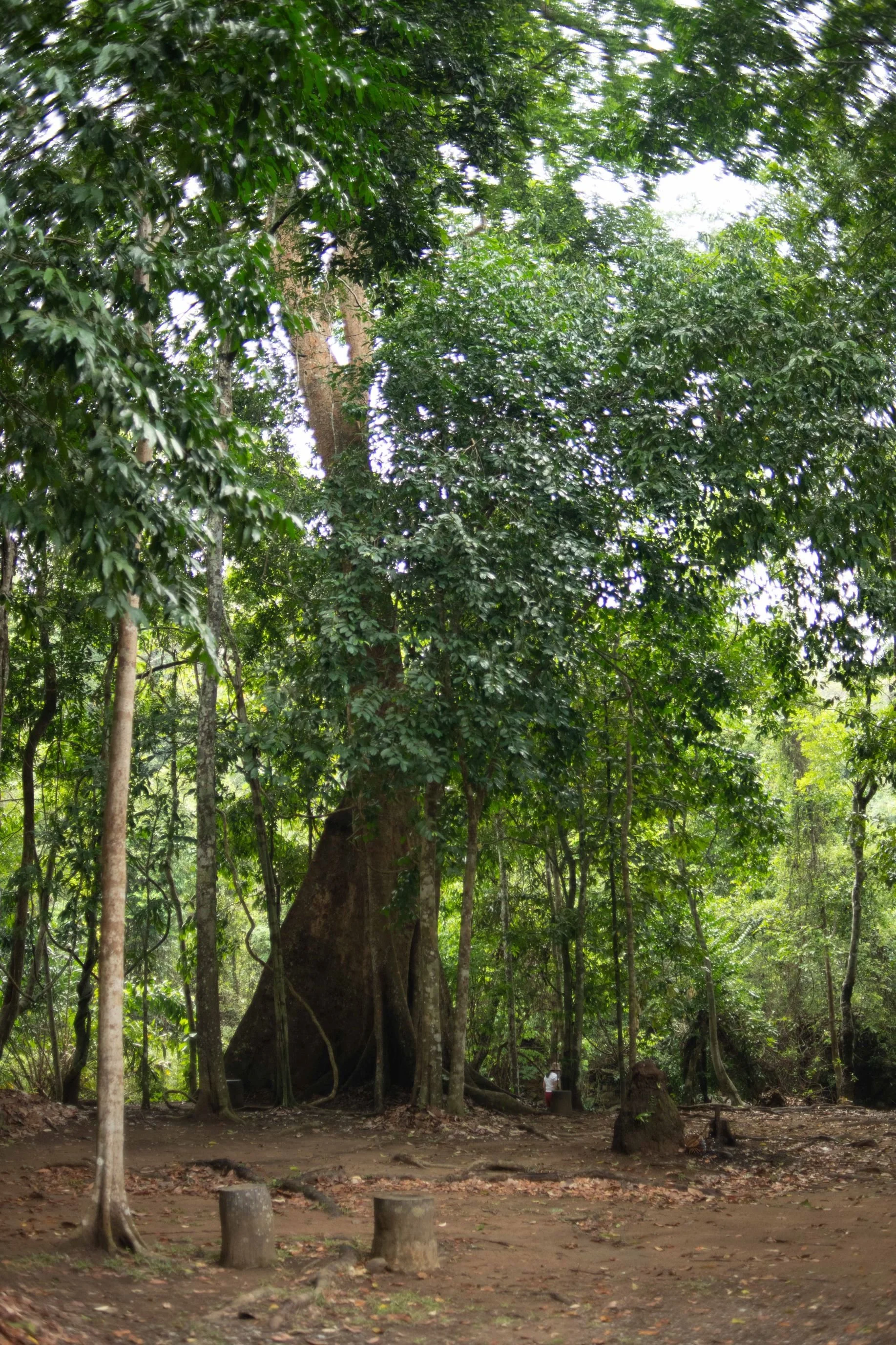 2024-05-10 - Khao Soi Dao and Chantaburi-3 - Resize 1835 2752.JPG