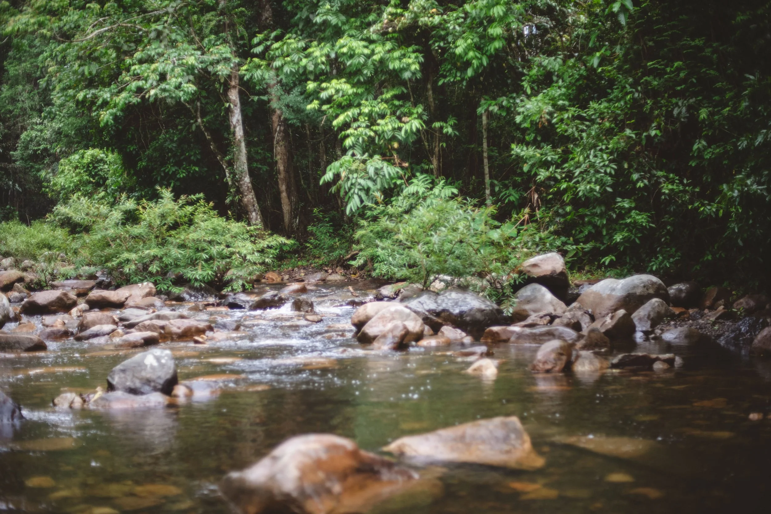 2024-05-10 - Khao Soi Dao and Chantaburi-10 - Resize 4128 2752.JPG