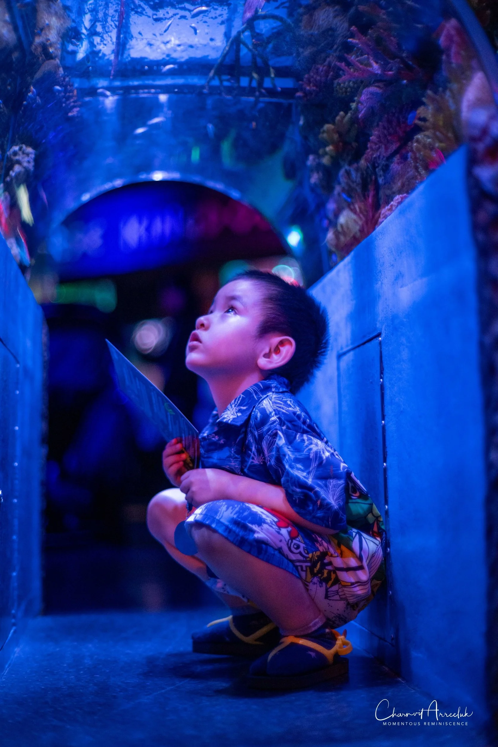 2026-06-21 - Sealife Bangkok-22 (Squarespace).jpg