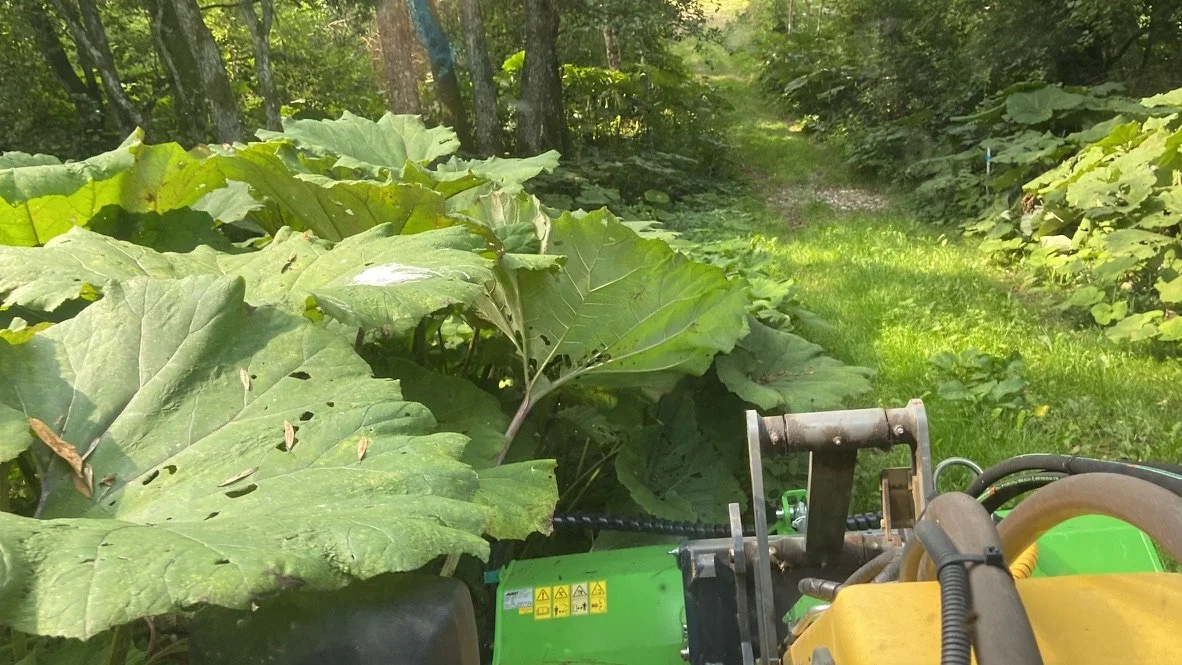 Ring Knutstorp på G underhåll