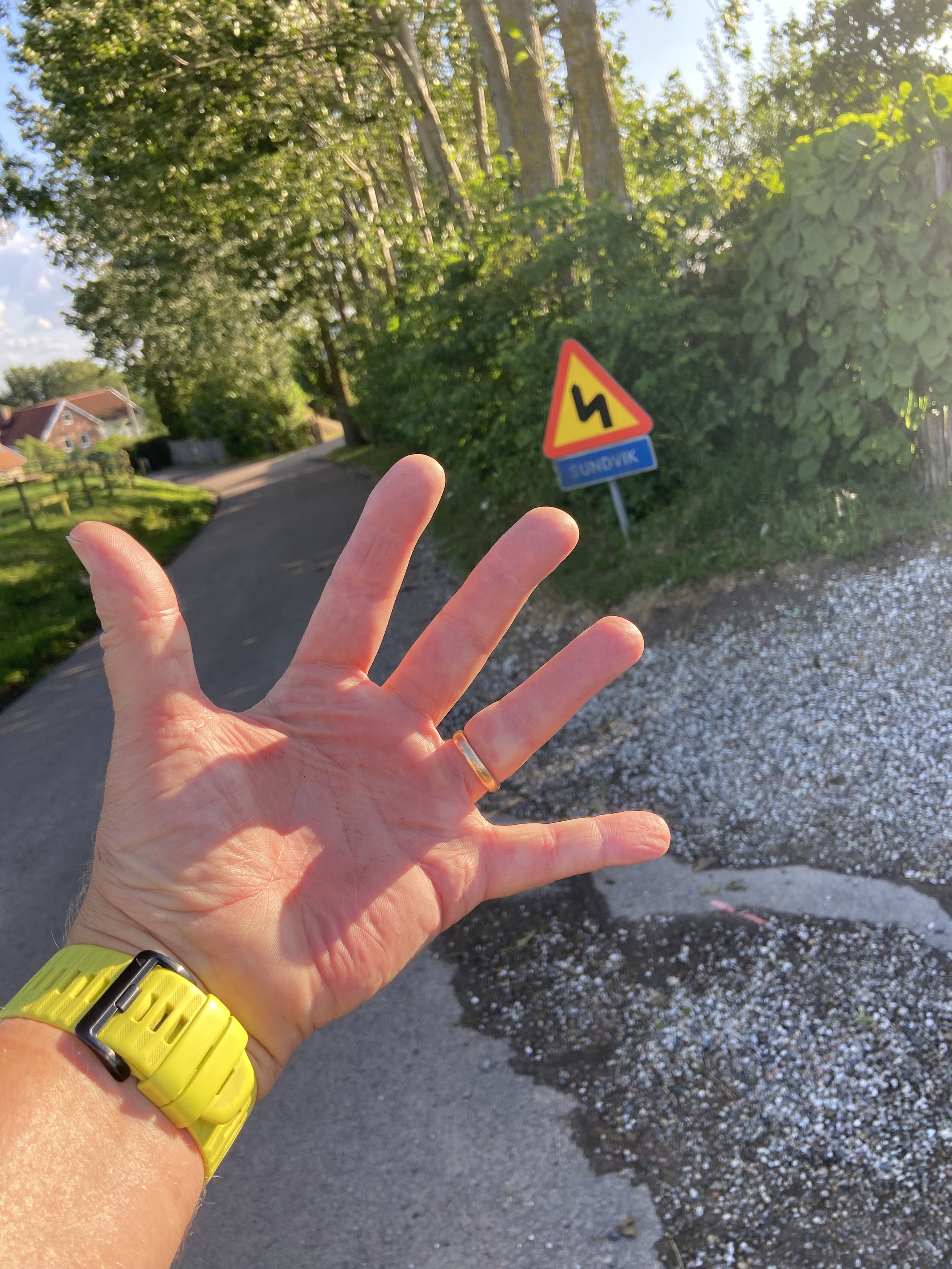 Sundvik 5 x 5 min i härlig kväll