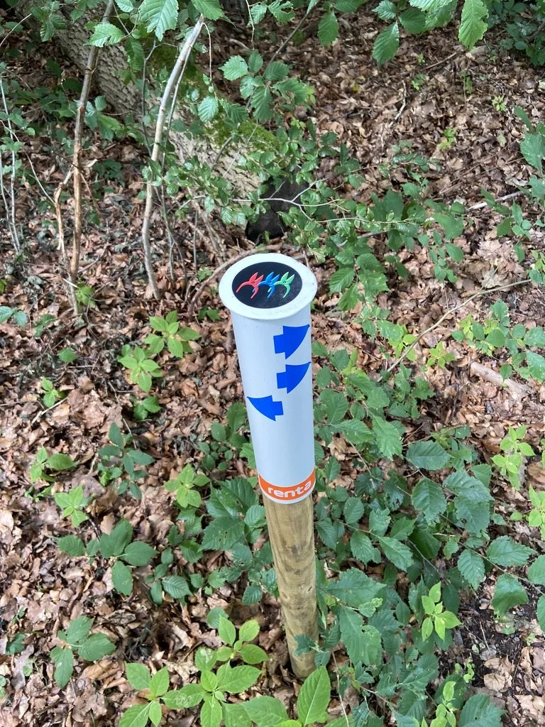 Vårstädning dag 1 kl 11 + Träning till Klåveröd kl 14