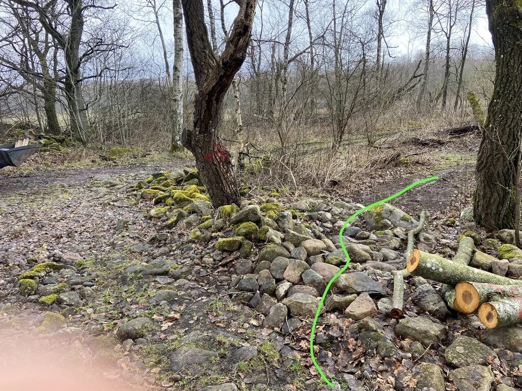 Träning Lillsskogen Ring Knutstorp 10-12 + 13:30 för dom som har ork