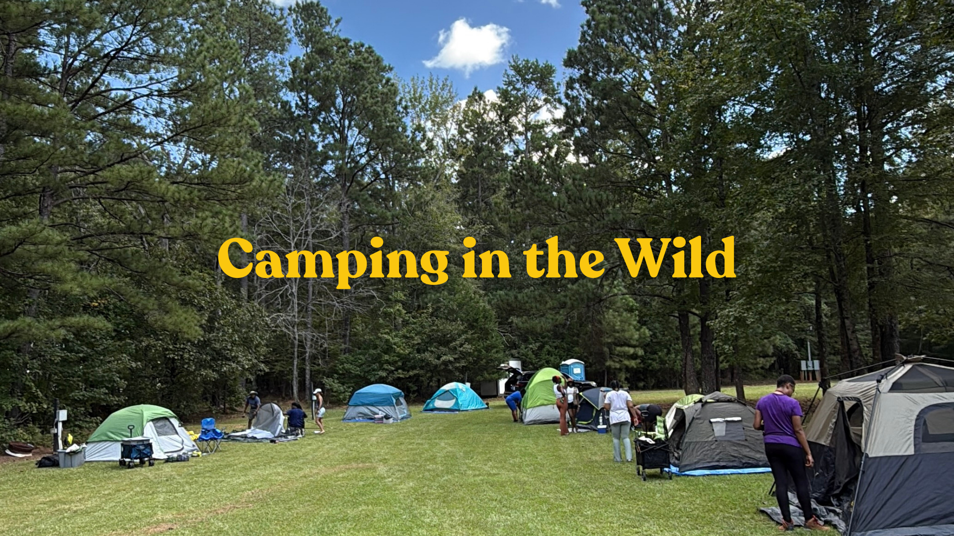 Camping in the Wild.png