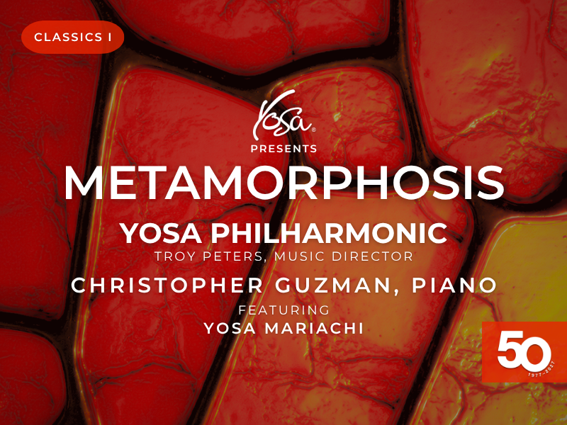 Classics I: Metamorphosis