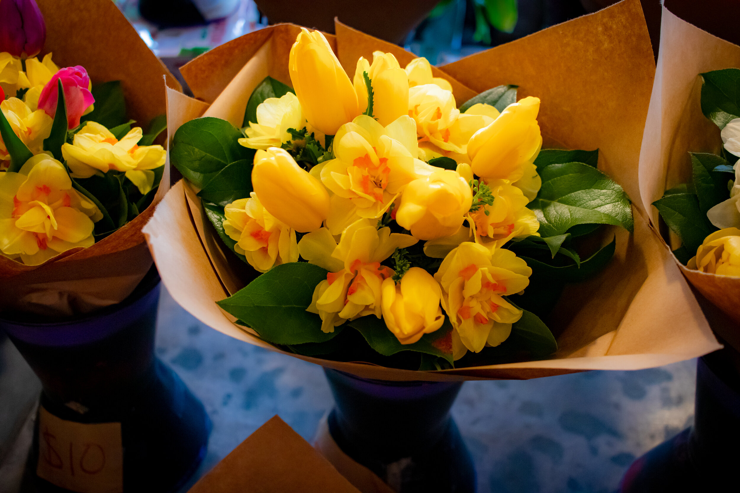 20190413-IMG_4301.jpg