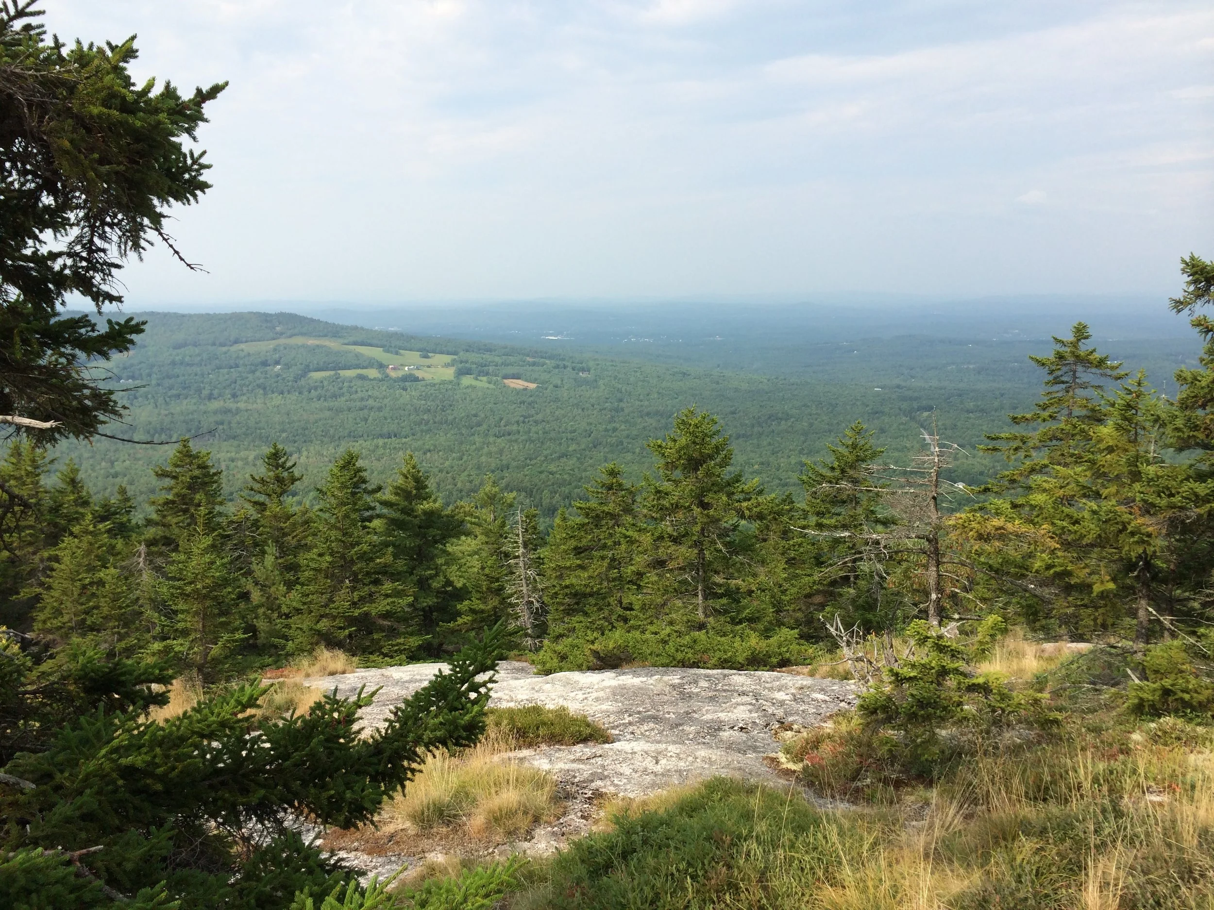 Episode 6: Understanding, Developing and Protecting Your Land