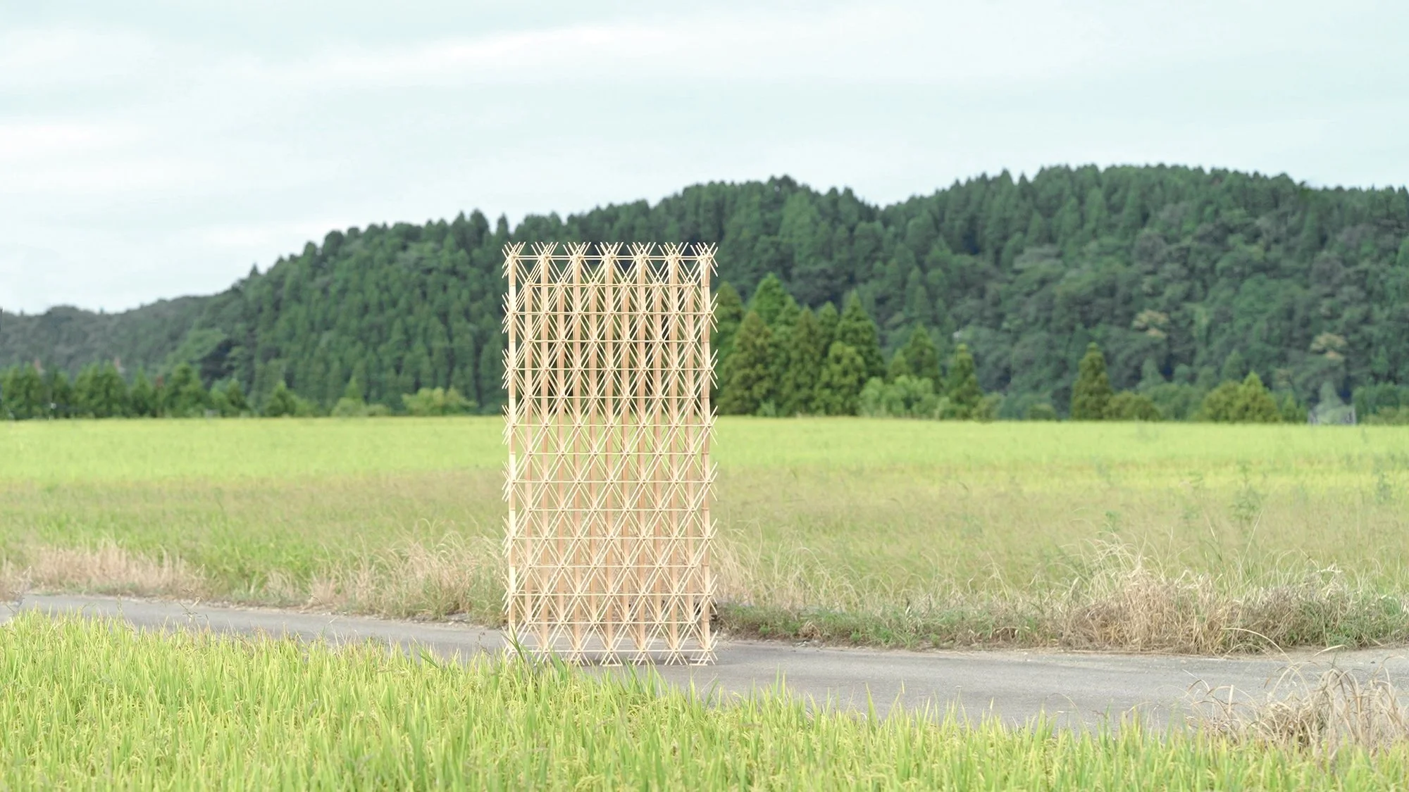 Foret_08.jpg