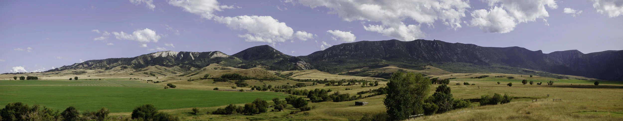 Big Horn Panoramic_Option 1.jpg