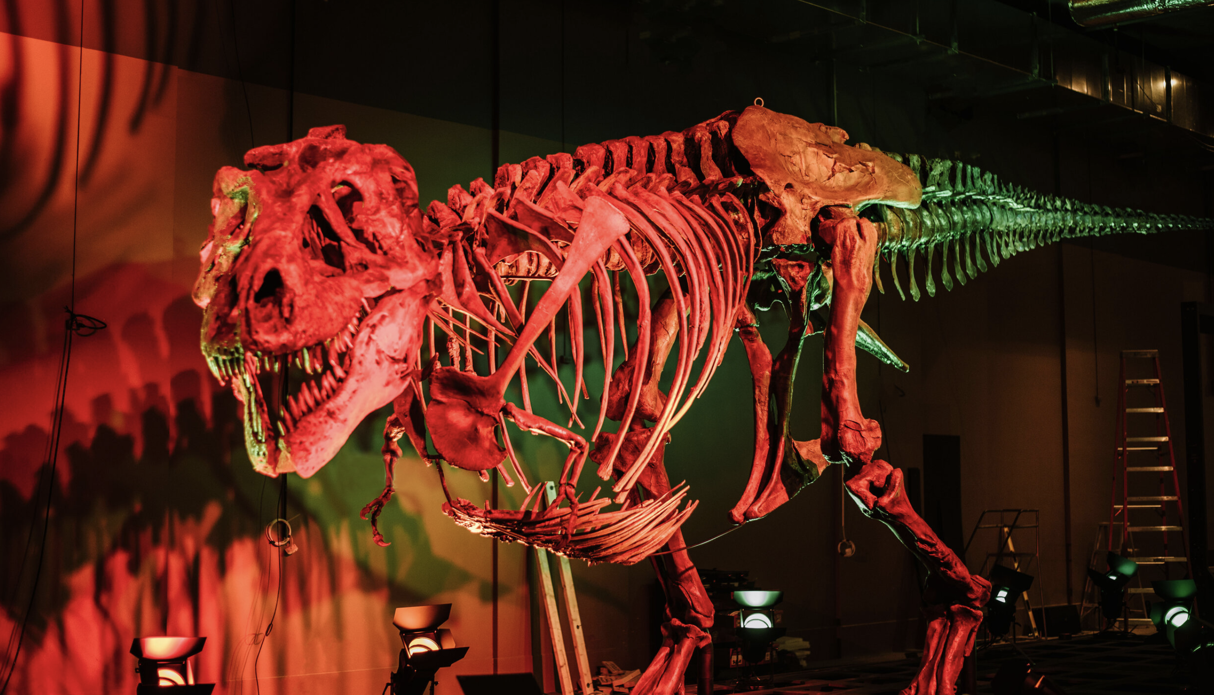 Screen Shot 2024-09-28 at 11.03.01 AM.png