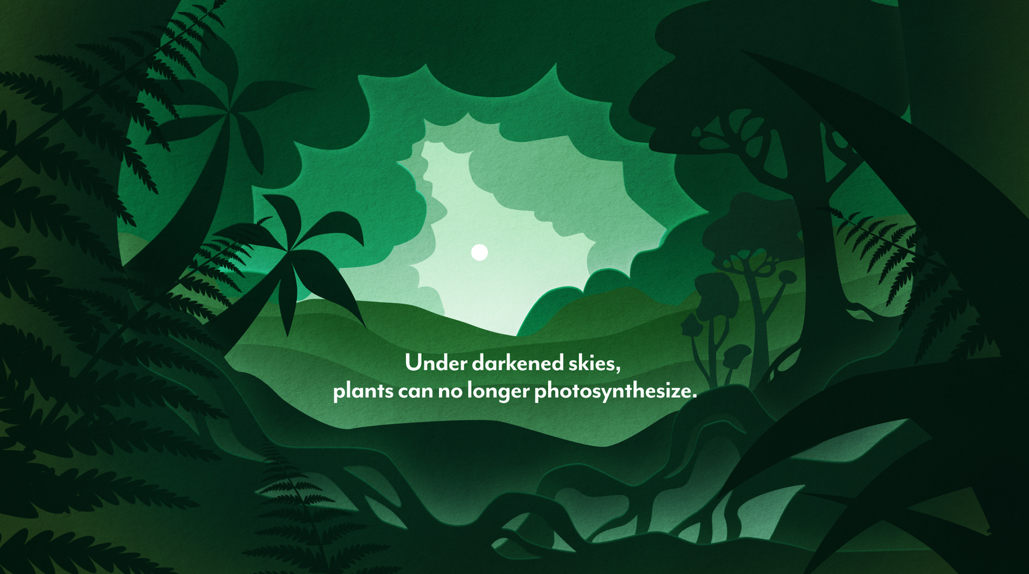 Plants Style Frames.png