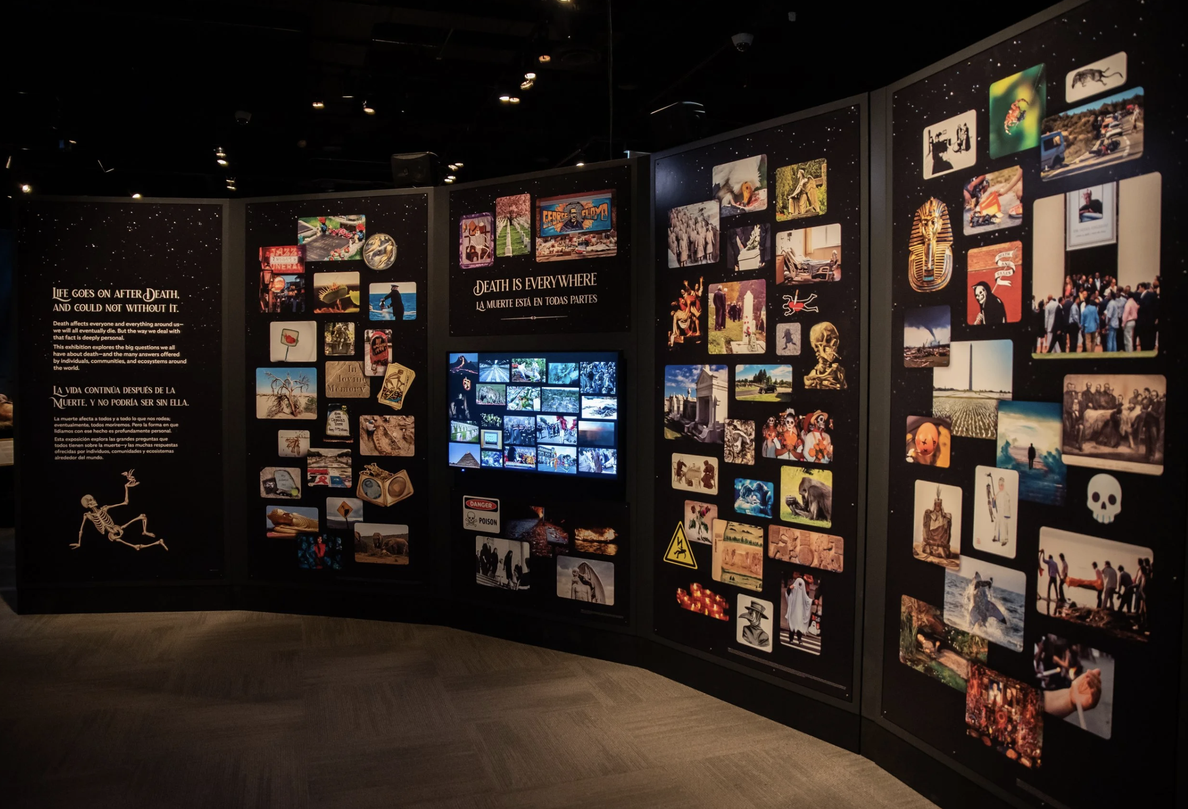 Screen Shot 2026-04-16 at 11.42.56 AM.png