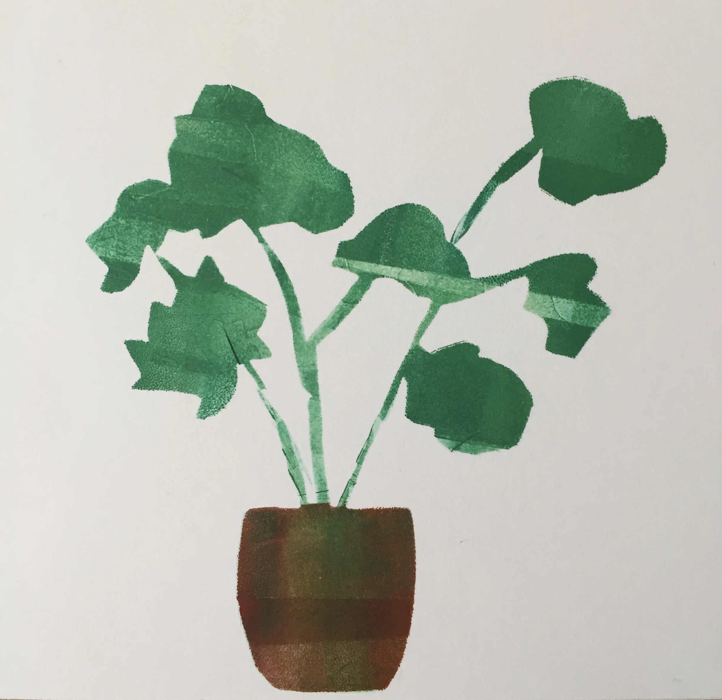 House Plant 