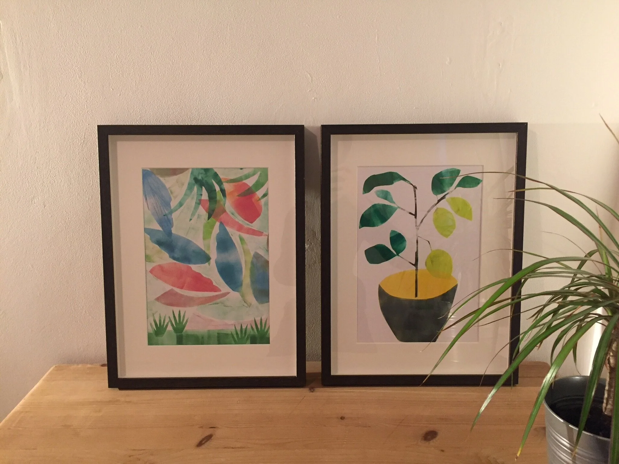            Paradise Corner (Left)  Lemon Tree (Right)   