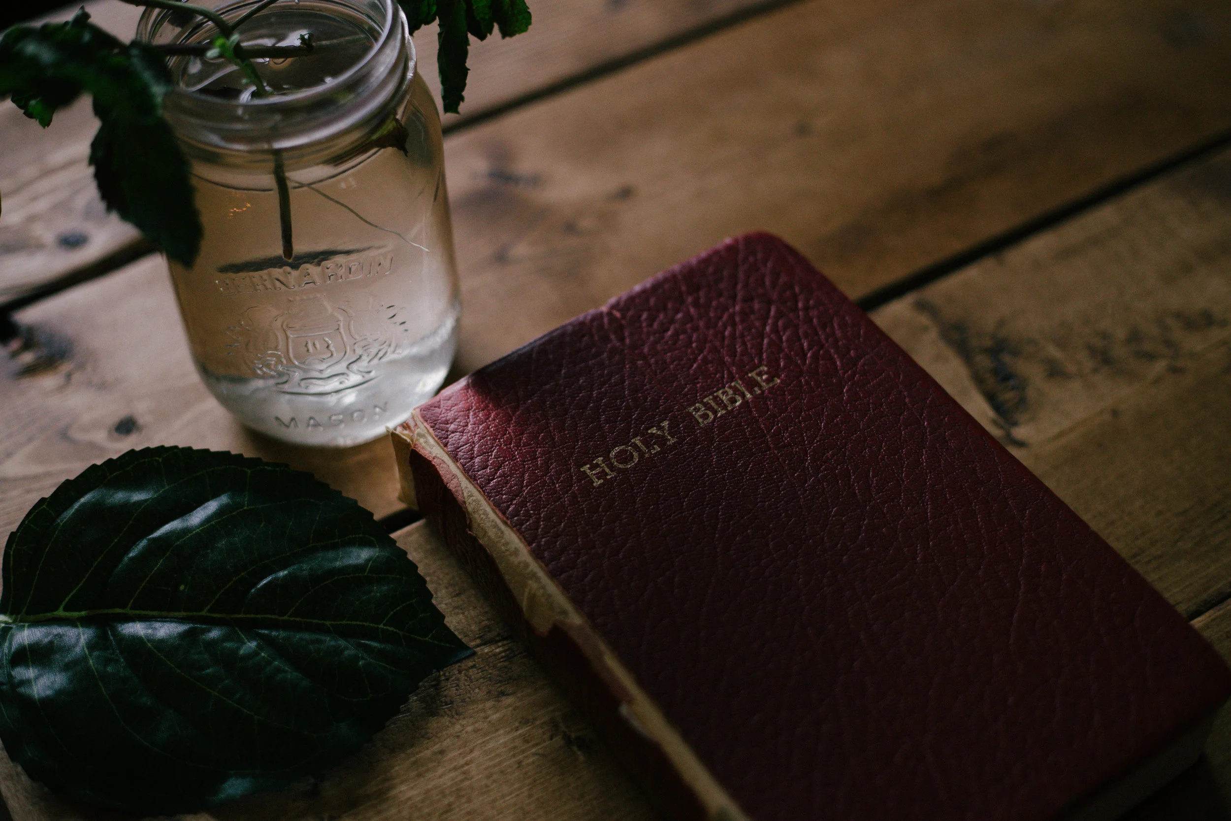 Evidence for Christians and Skeptics