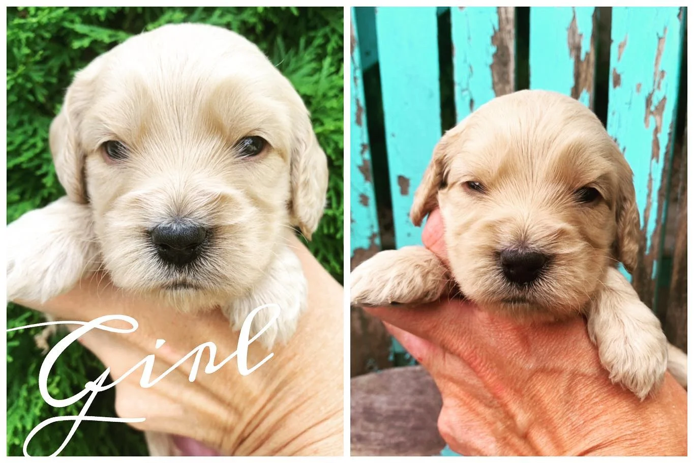 Chula x Fenway 3 week photo shoot!