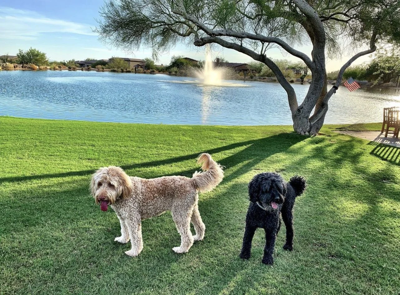 Doodle Adventures are in full swing this summer ☀️