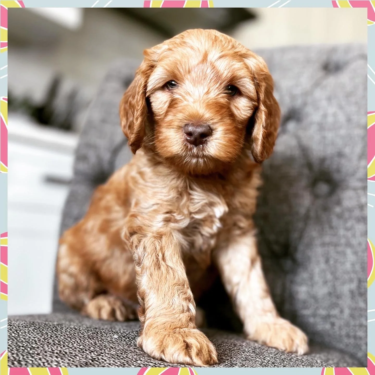 Macy x Finnick Lovies ❤️