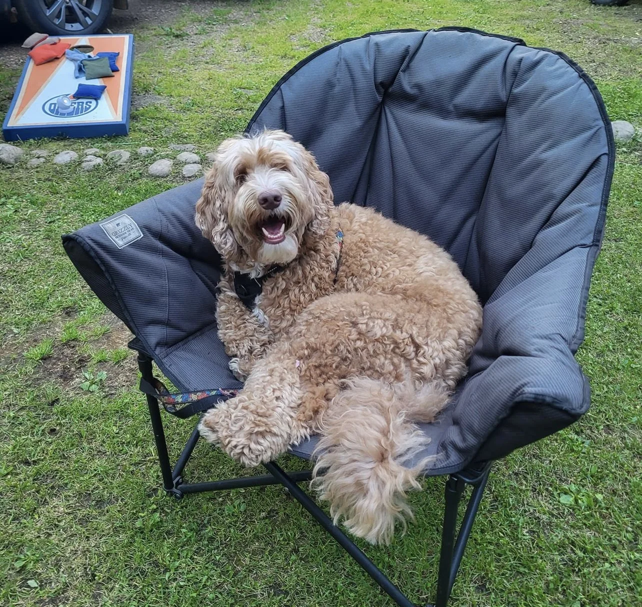 Summer Lovin’ 💗