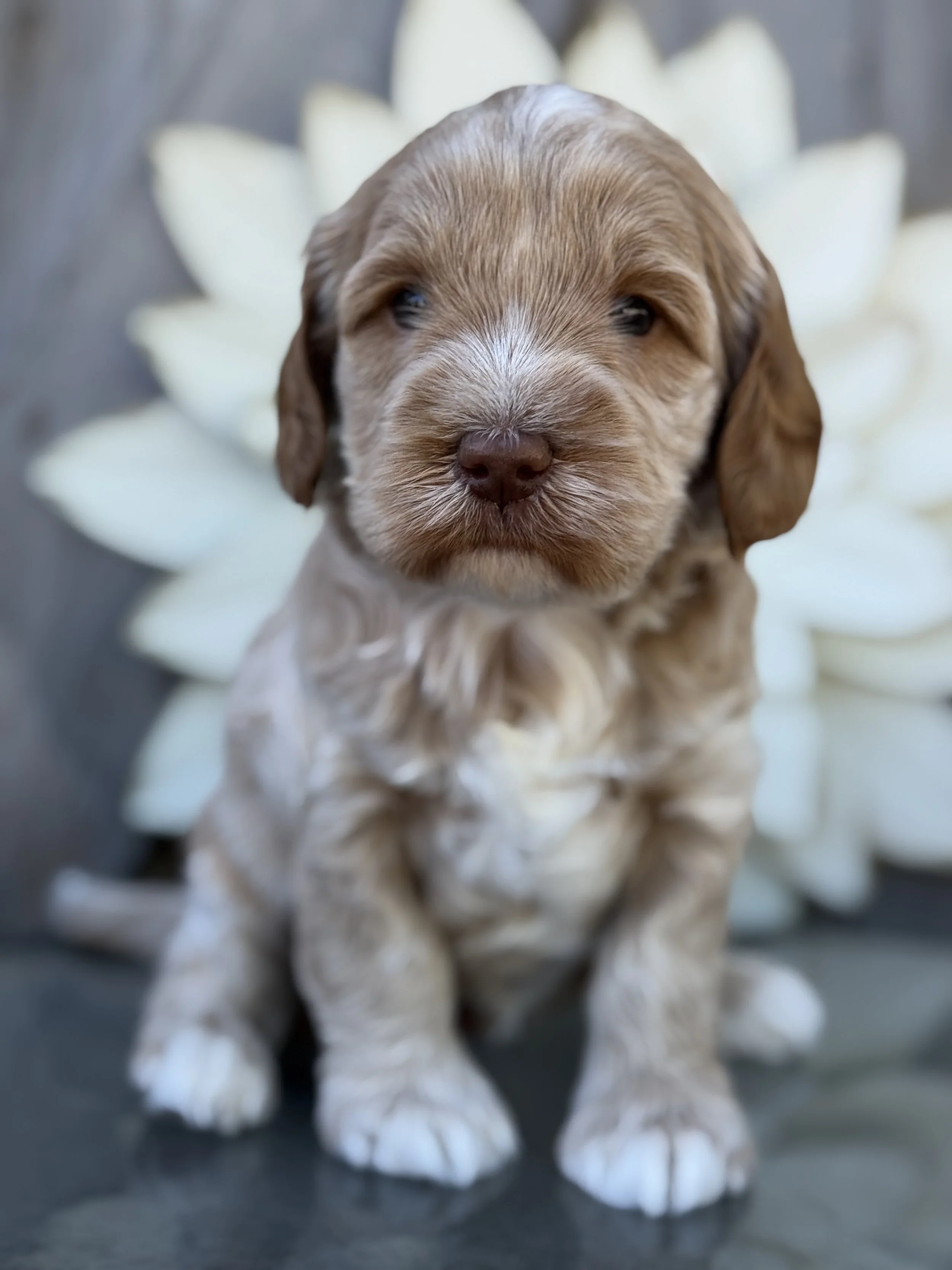 Coulee’s Oakley x Thor 5 week Photoshoot
