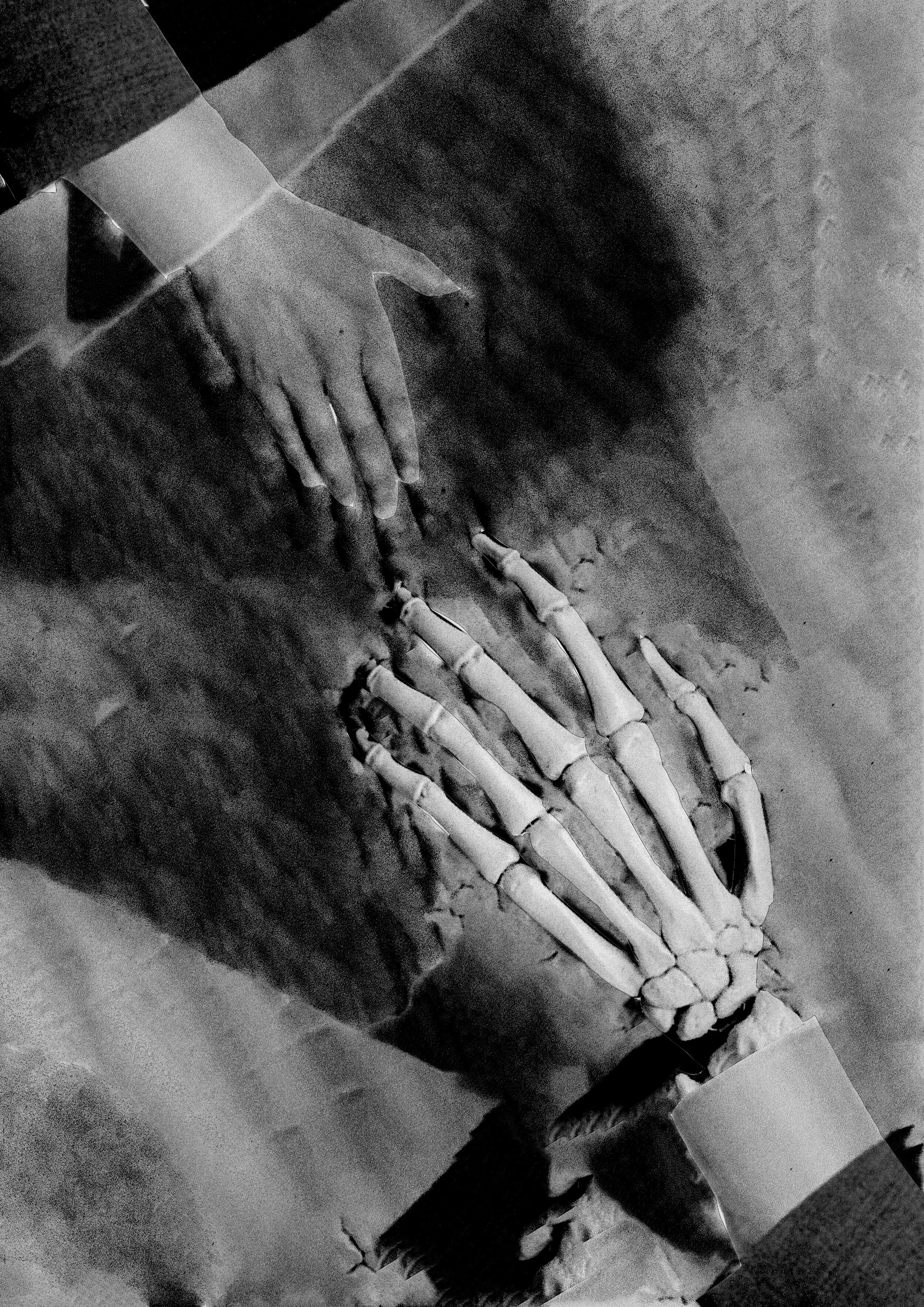 shakinghands.jpg